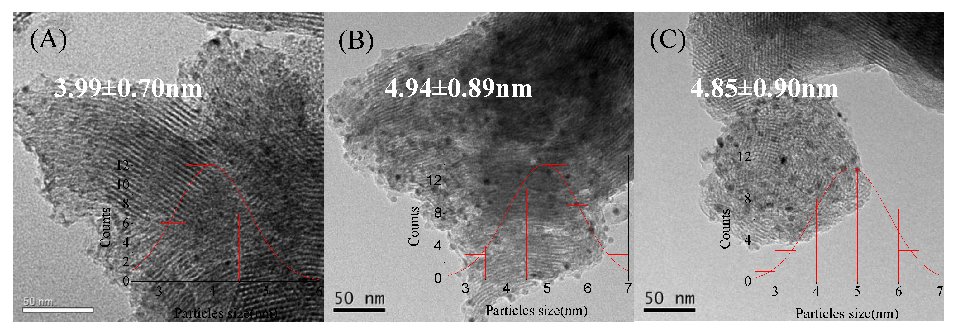 Nanomaterials 10 00509 g001