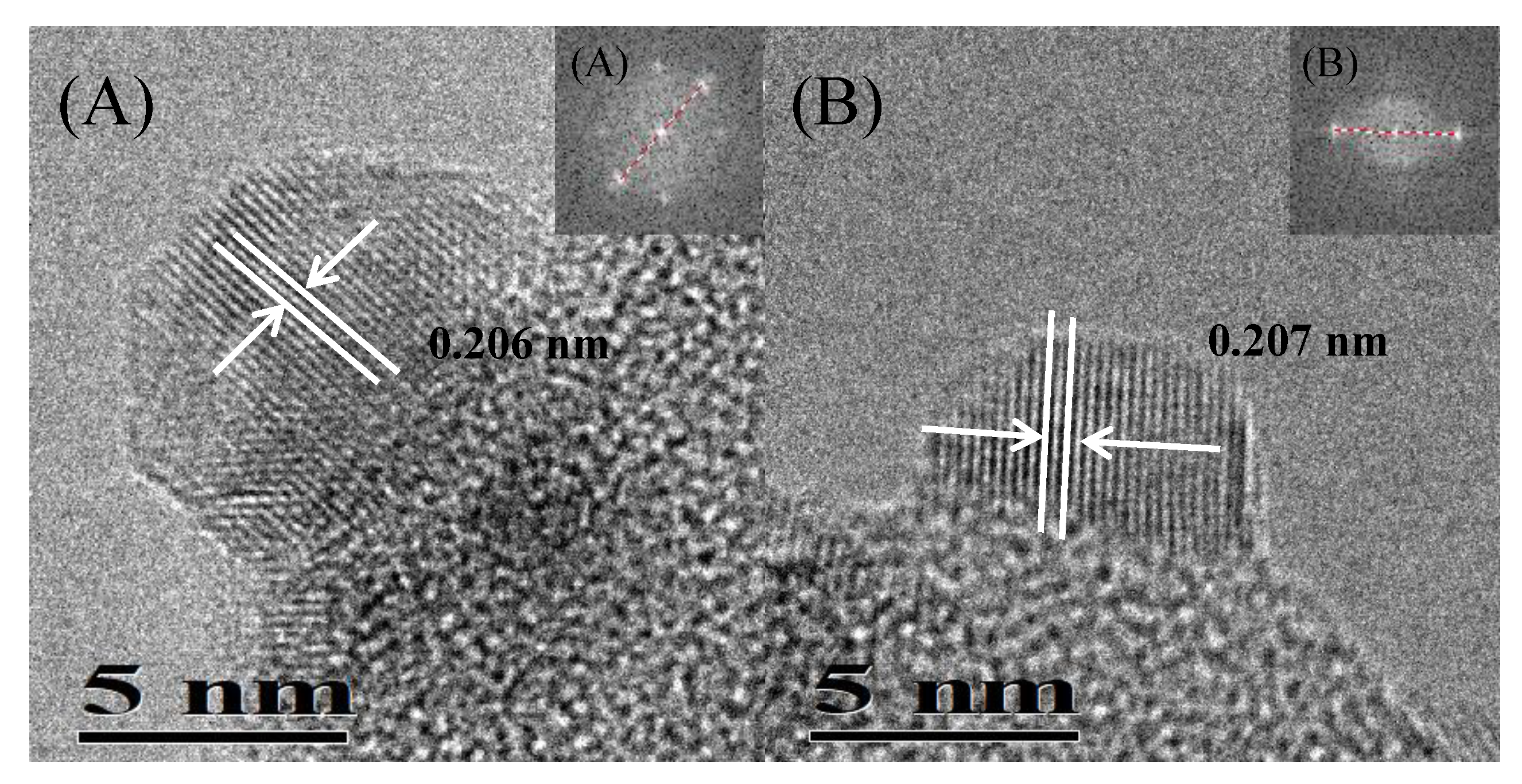 Nanomaterials 10 00509 g004