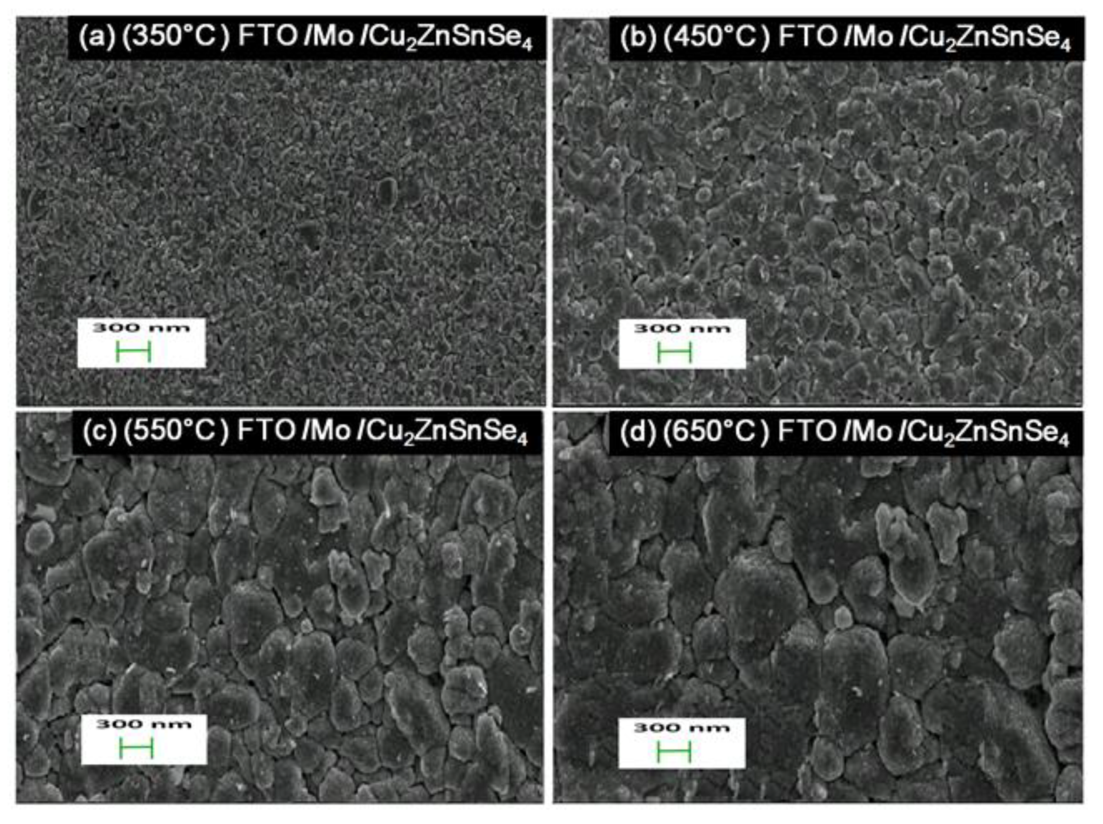 Nanomaterials 10 00521 g004 Nanomaterials 10 00521 g004
