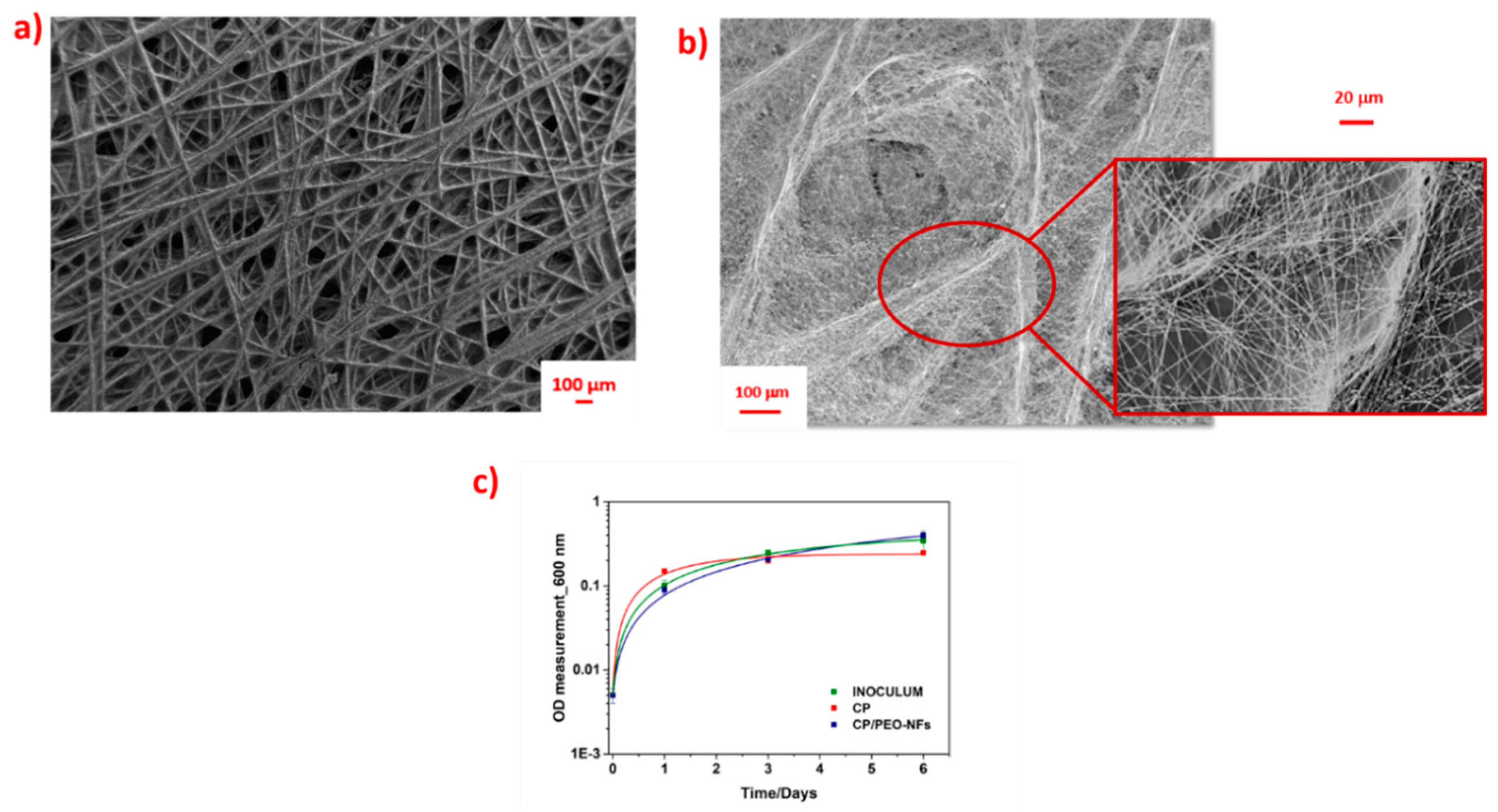 Nanomaterials 10 00523 g001 Nanomaterials 10 00523 g001