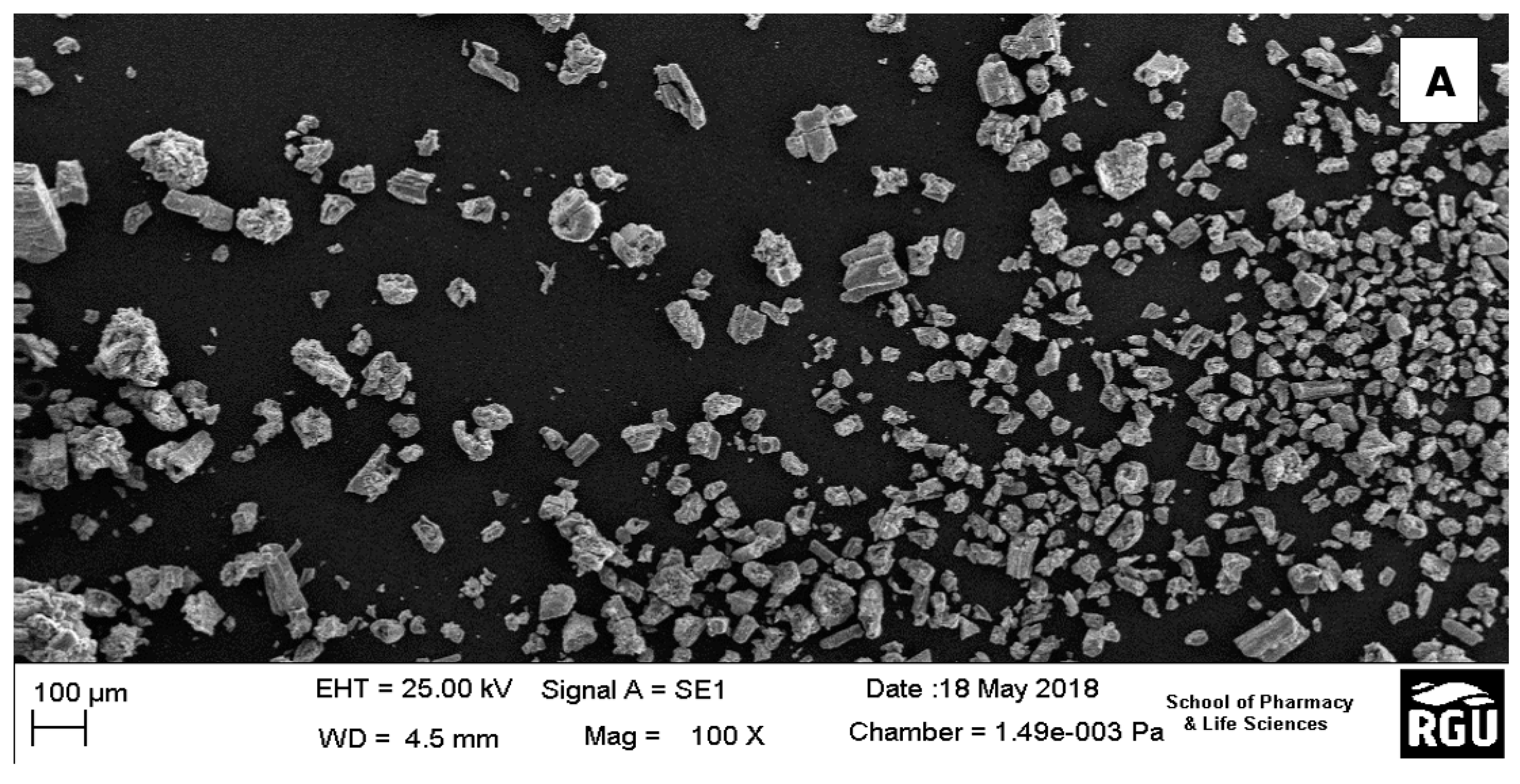 Nanomaterials 10 00537 g002a