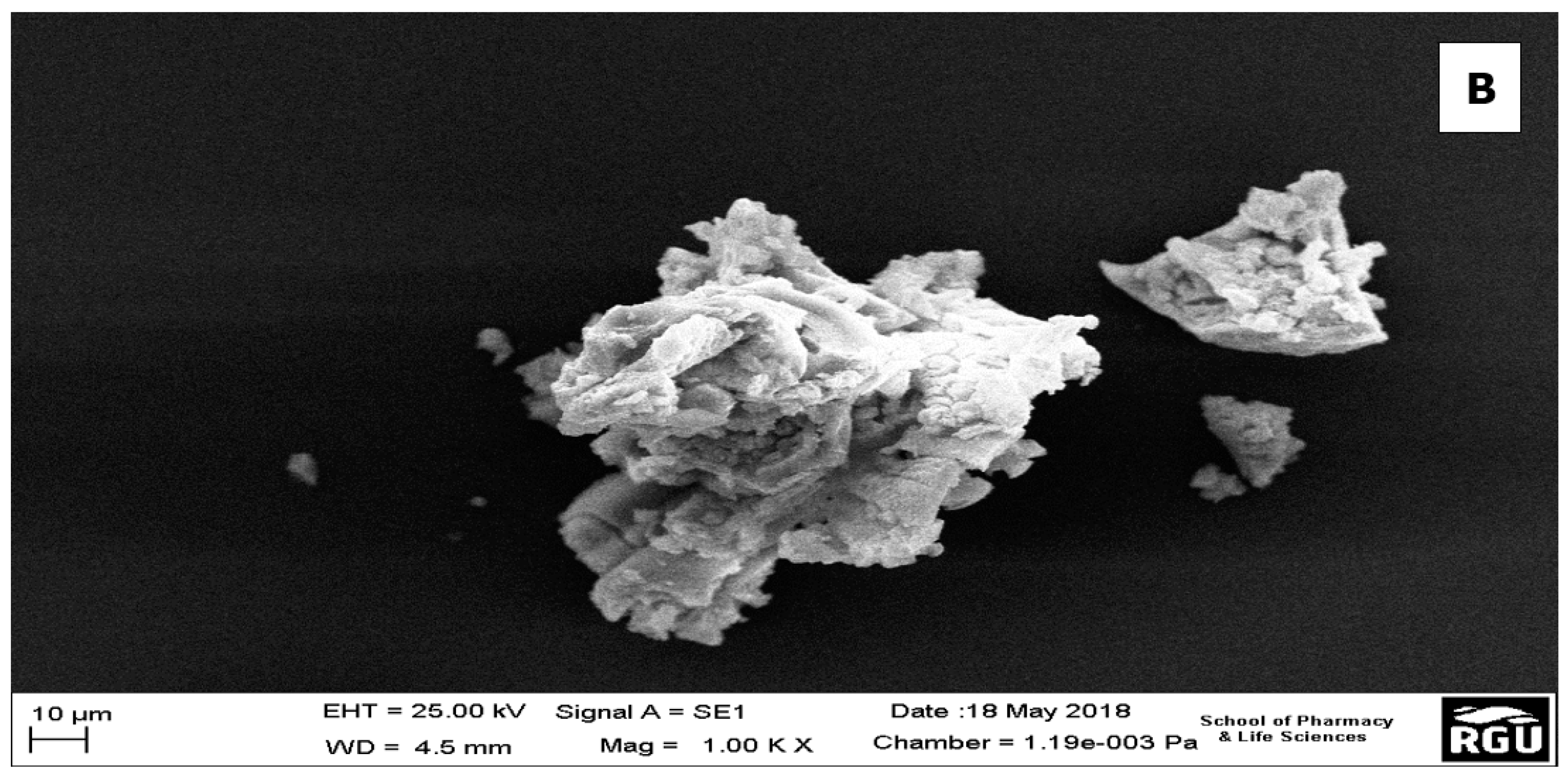 Nanomaterials 10 00537 g002b