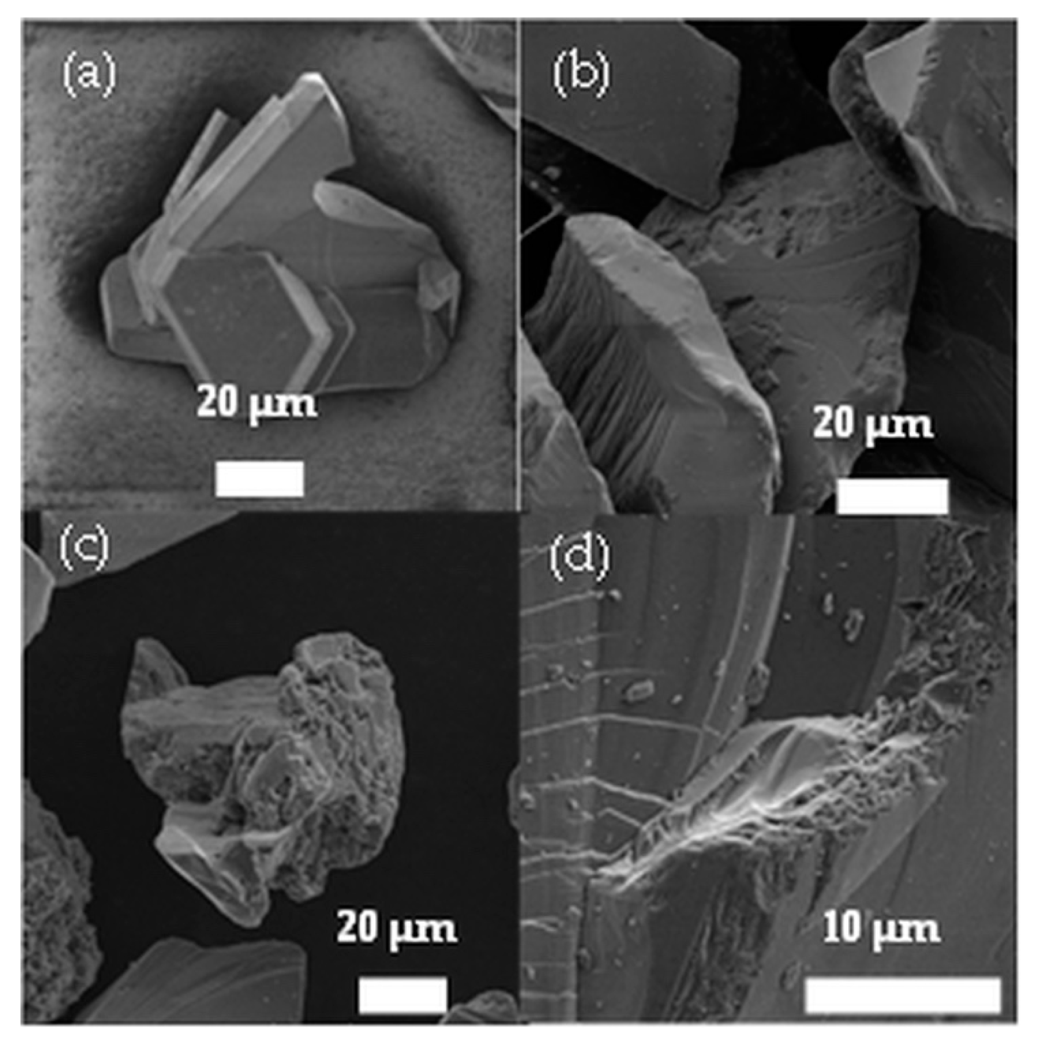 Nanomaterials 10 00538 g001