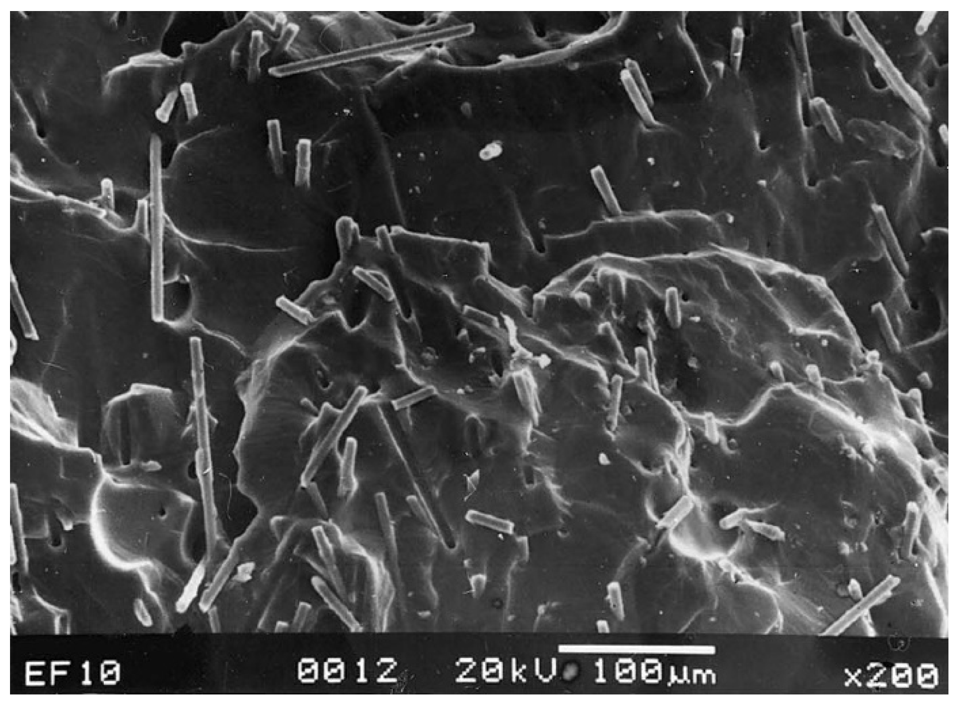 Nanomaterials 10 00541 g003 Nanomaterials 10 00541 g003