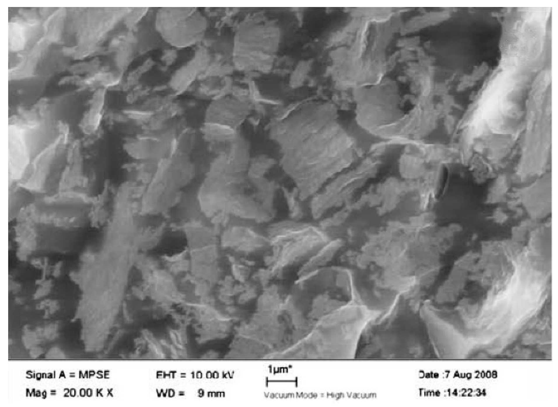 Nanomaterials 10 00541 g005 Nanomaterials 10 00541 g005