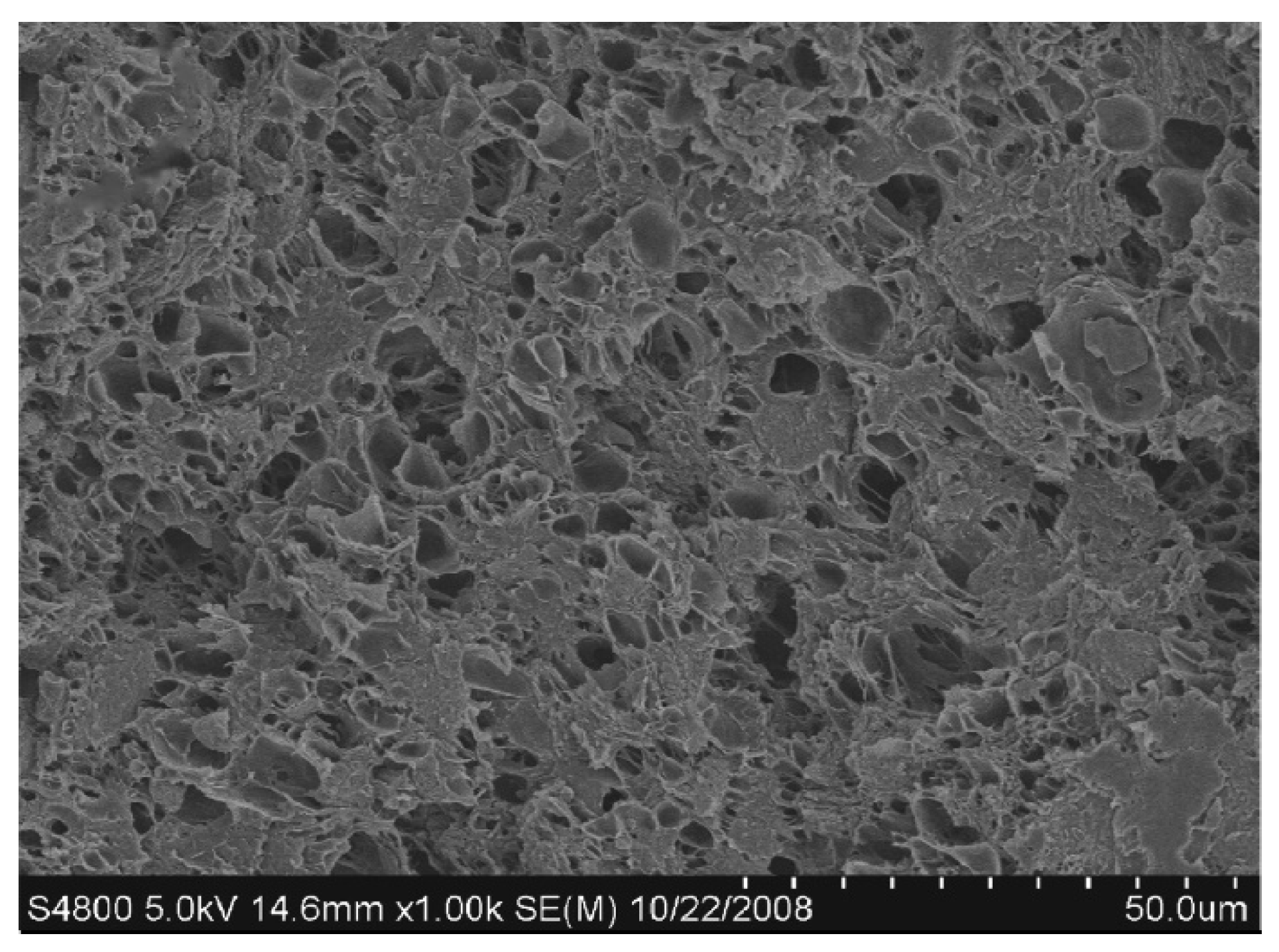 Nanomaterials 10 00541 g006 Nanomaterials 10 00541 g006