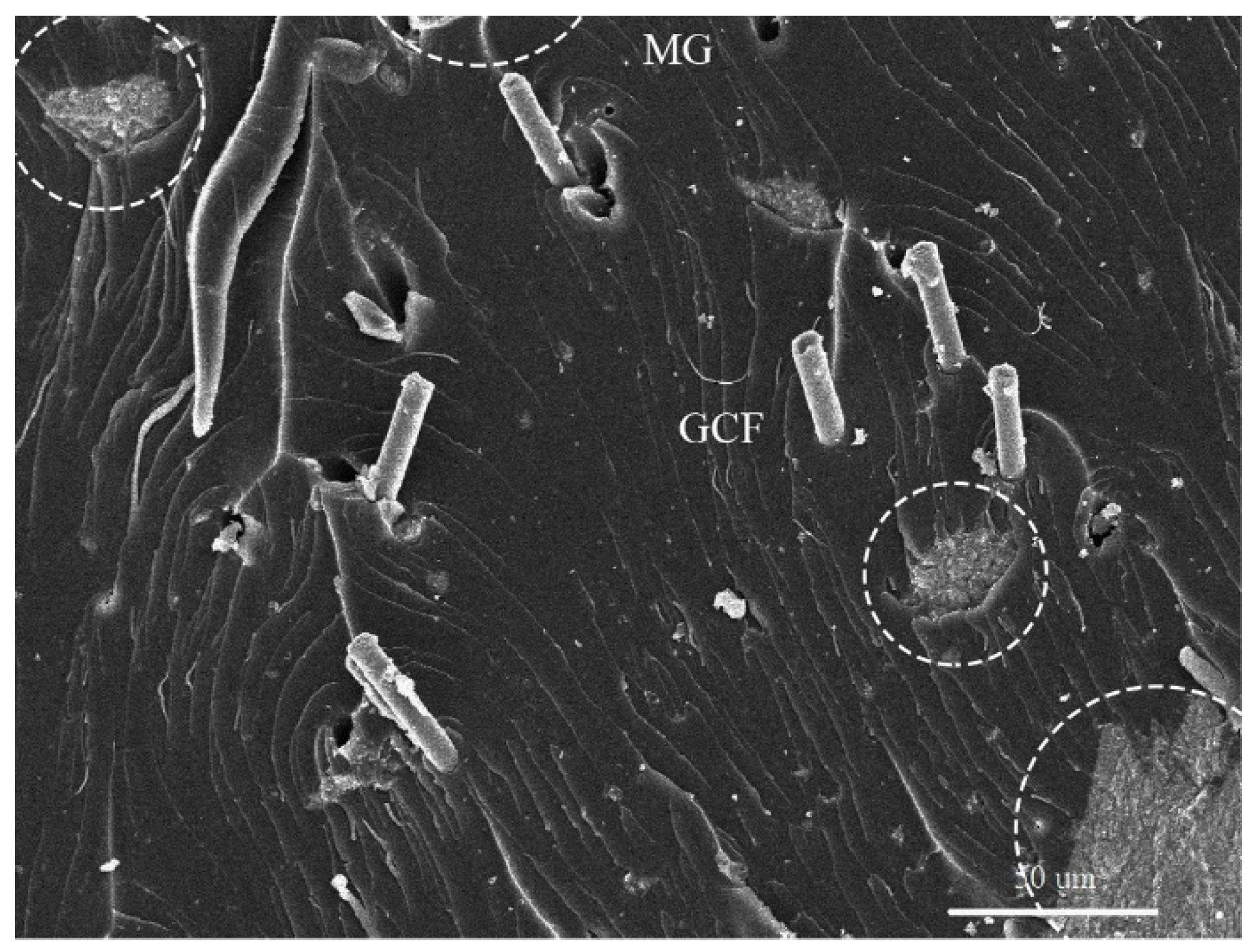 Nanomaterials 10 00541 g009 Nanomaterials 10 00541 g009