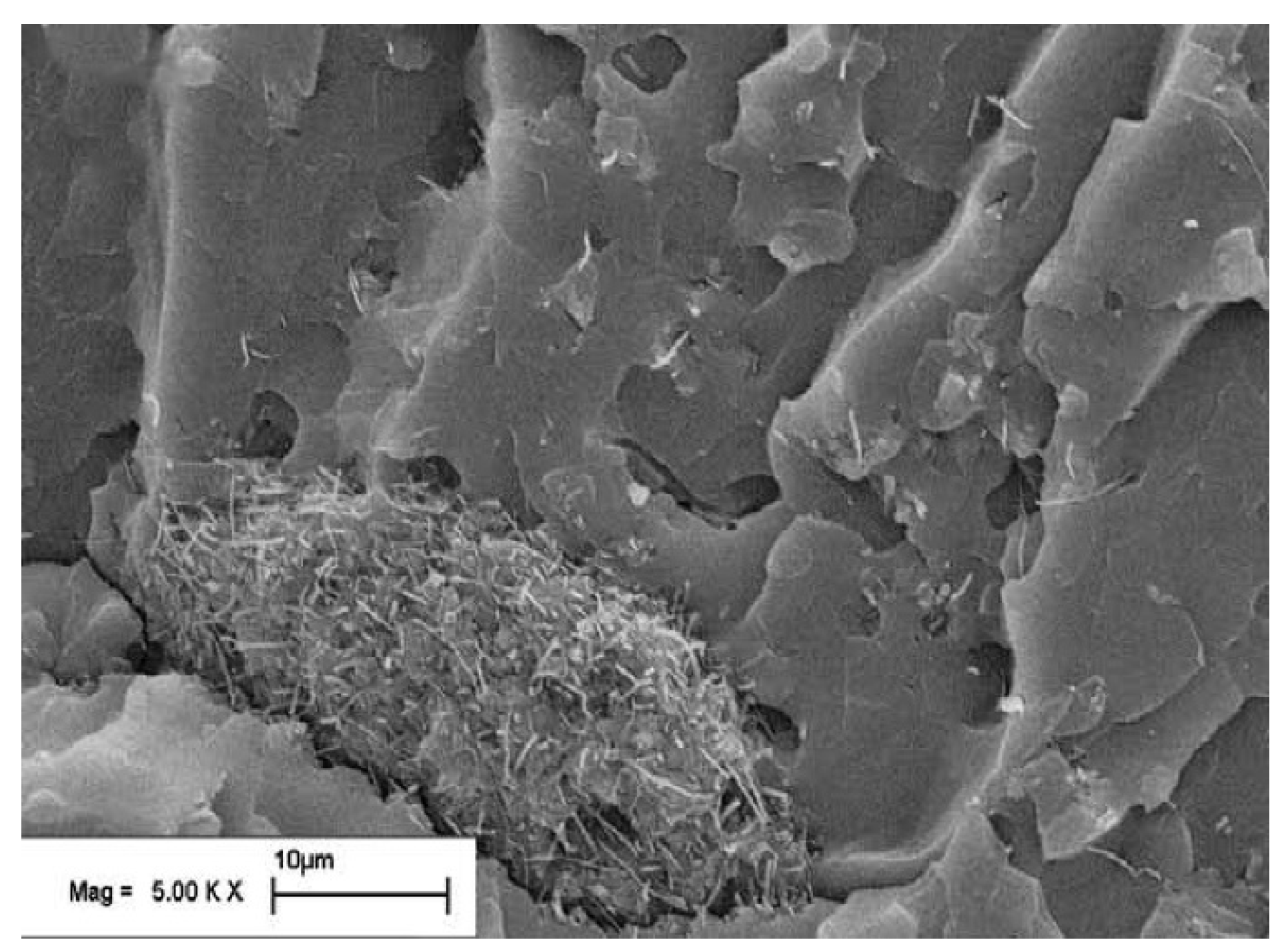 Nanomaterials 10 00541 g012 Nanomaterials 10 00541 g012