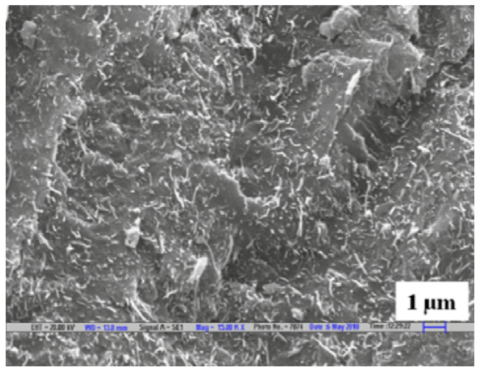Nanomaterials 10 00541 g017 Nanomaterials 10 00541 g017