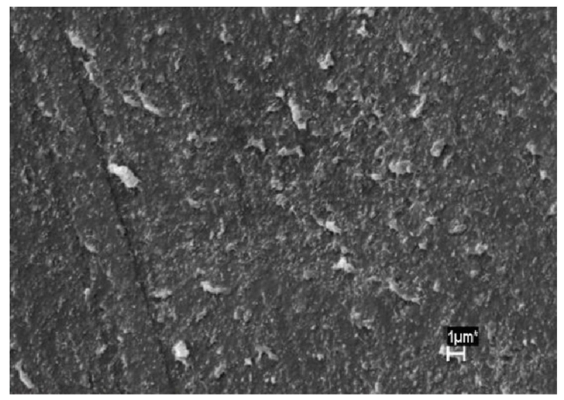 Nanomaterials 10 00541 g018 Nanomaterials 10 00541 g018