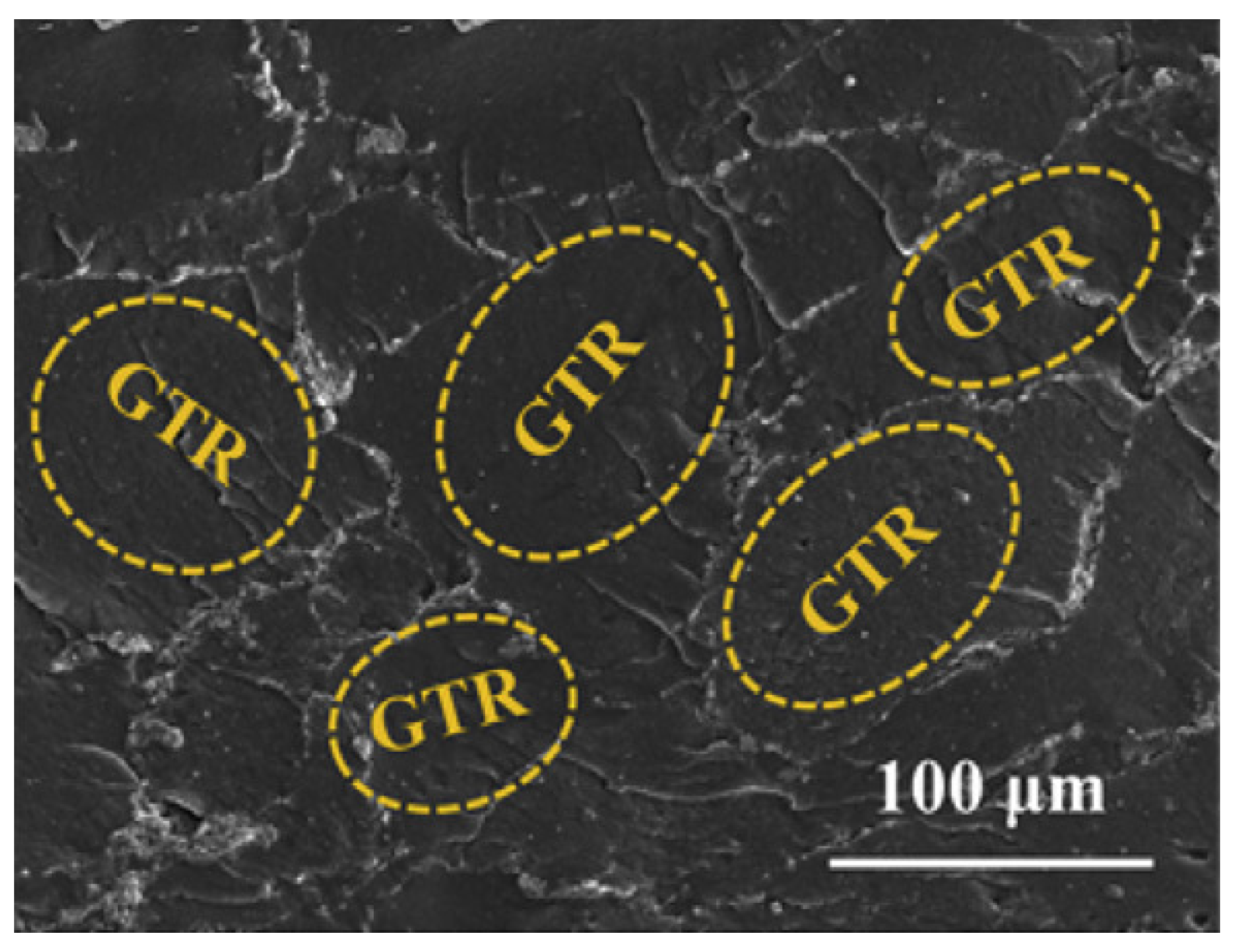 Nanomaterials 10 00541 g021 Nanomaterials 10 00541 g021