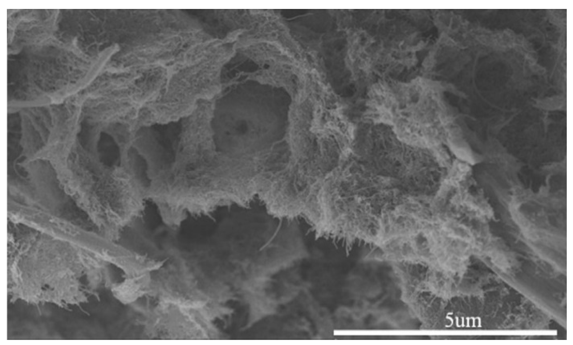 Nanomaterials 10 00541 g022 Nanomaterials 10 00541 g022