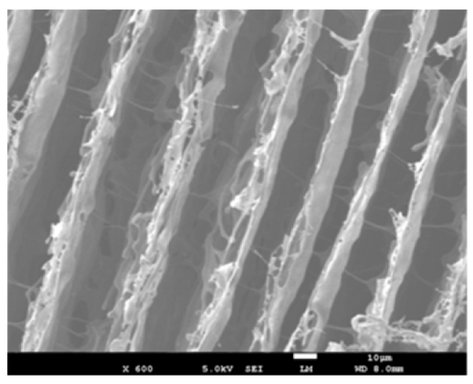 Nanomaterials 10 00541 g024 Nanomaterials 10 00541 g024