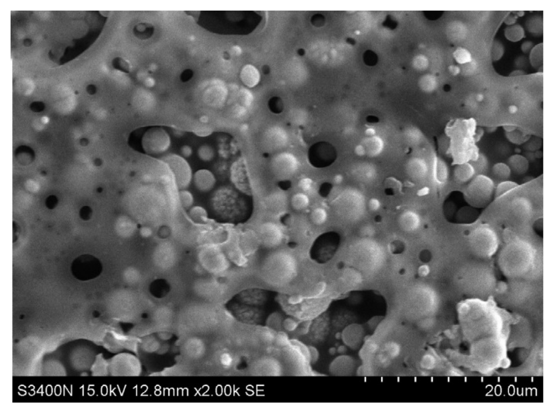 Nanomaterials 10 00541 g026 Nanomaterials 10 00541 g026