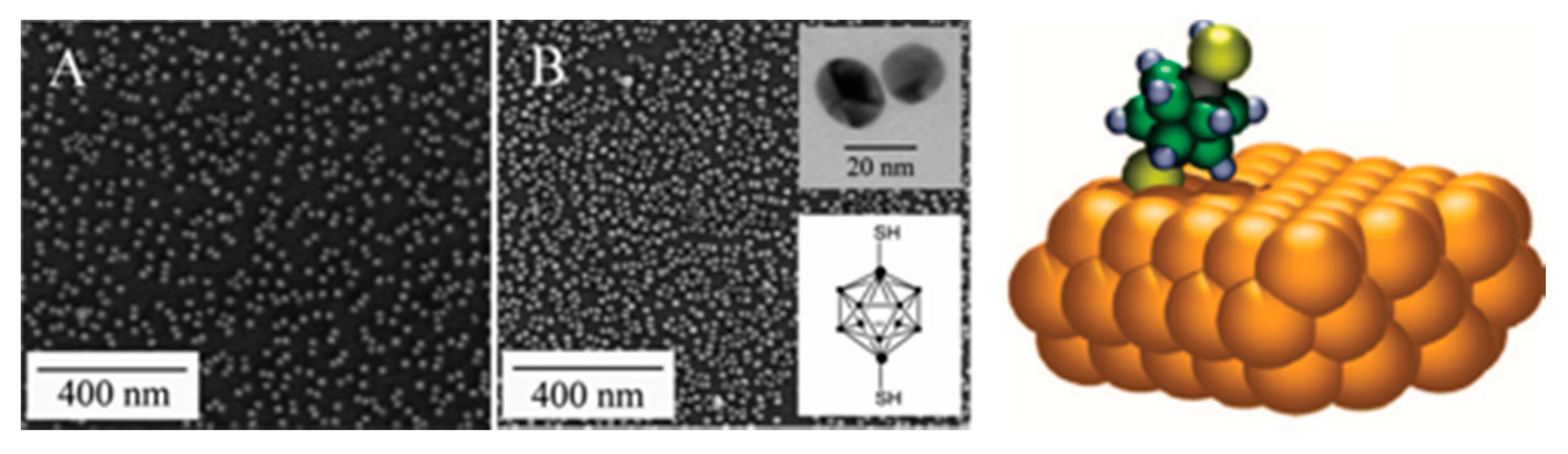 Nanomaterials 10 00548 g001 Nanomaterials 10 00548 g001