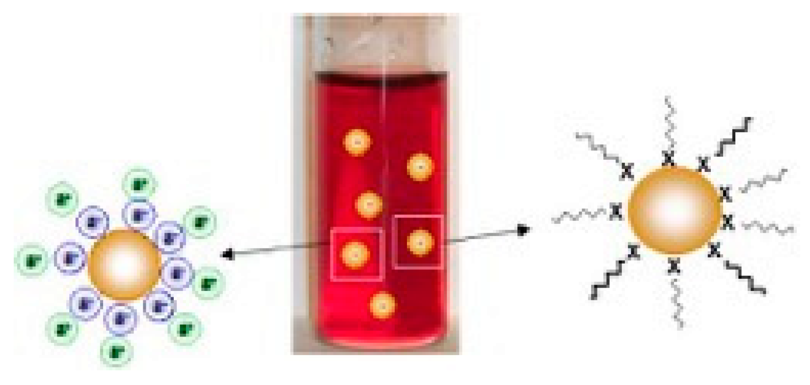 Nanomaterials 10 00548 sch001 Nanomaterials 10 00548 sch001