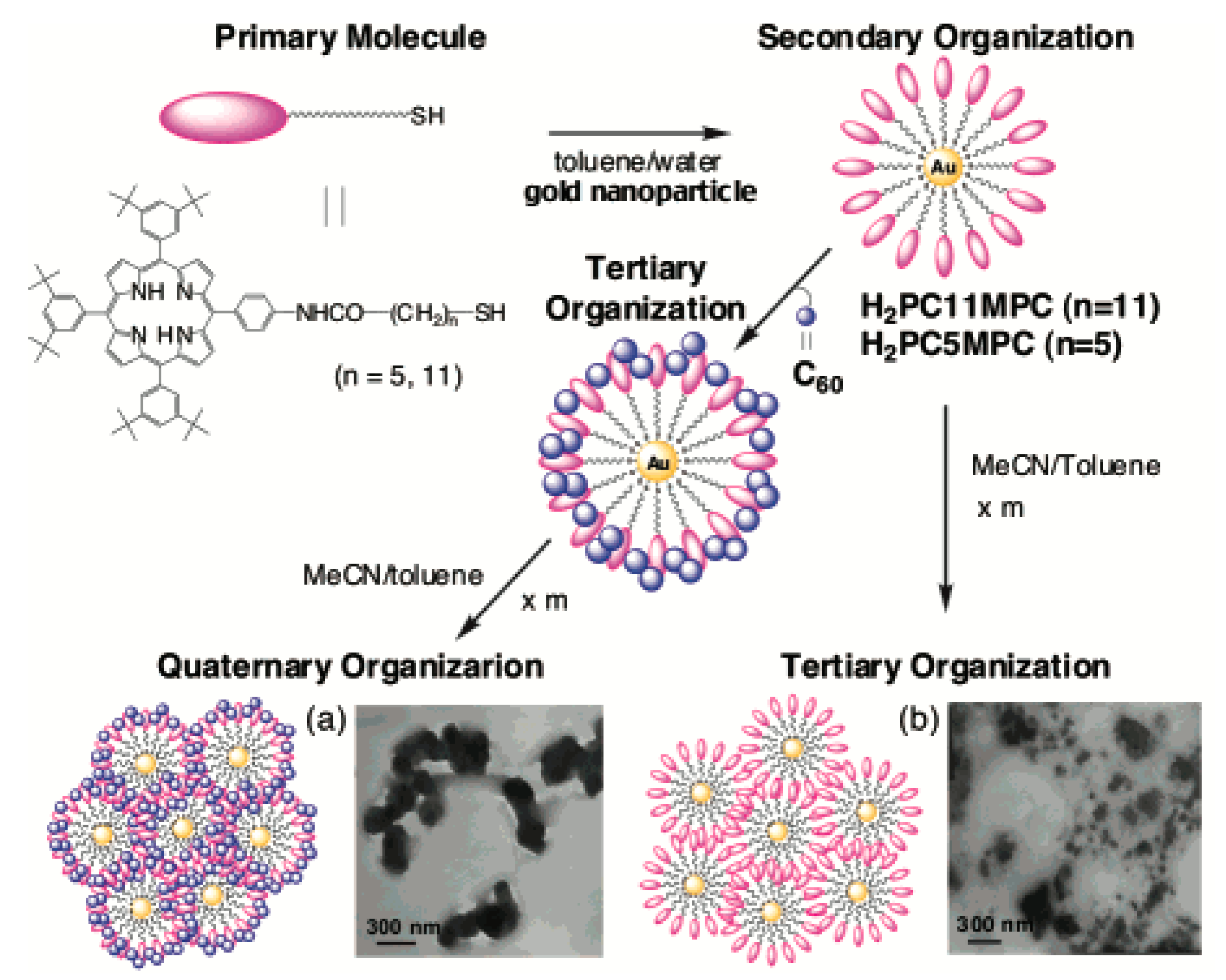 Nanomaterials 10 00548 sch008 Nanomaterials 10 00548 sch008