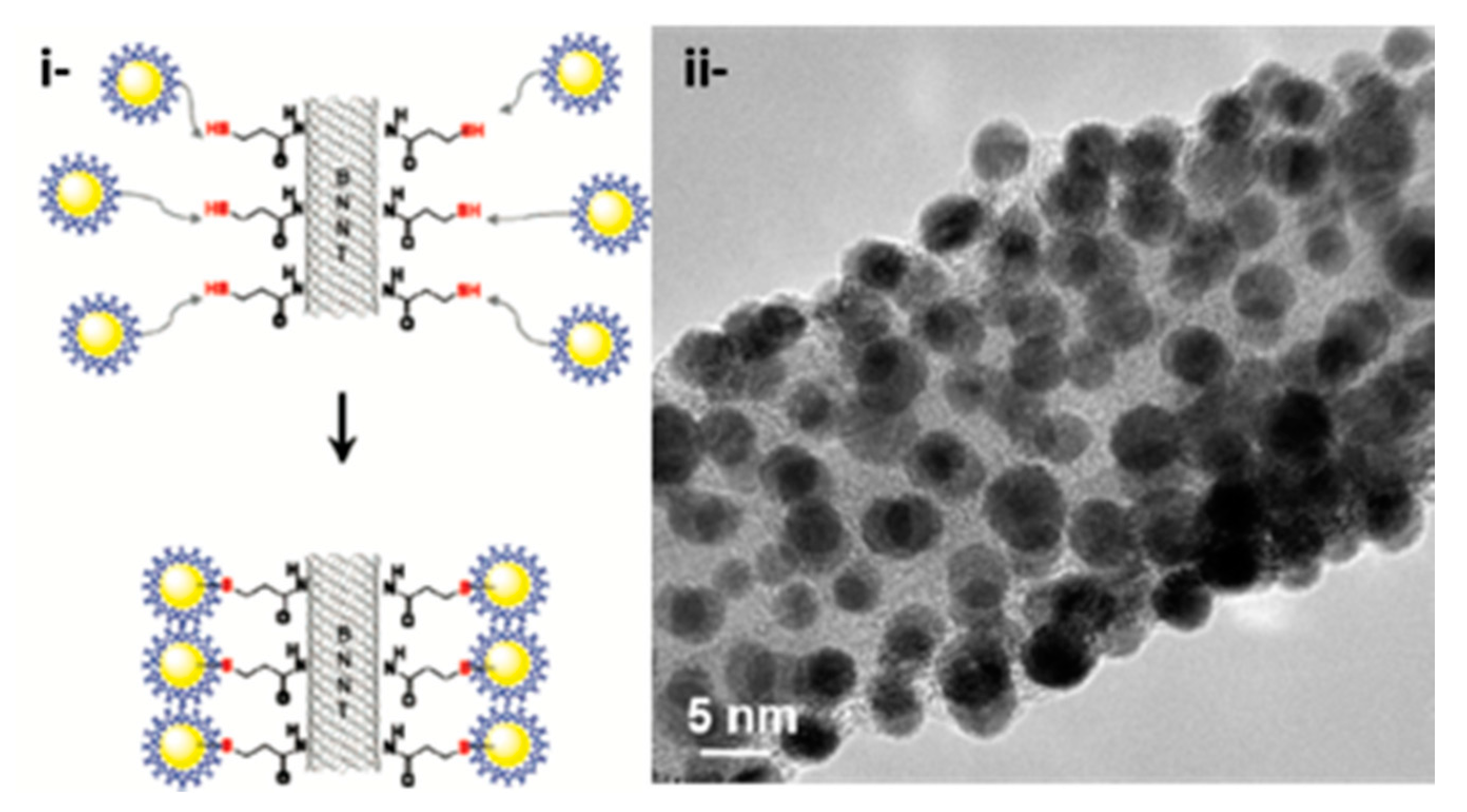 Nanomaterials 10 00548 sch012 Nanomaterials 10 00548 sch012