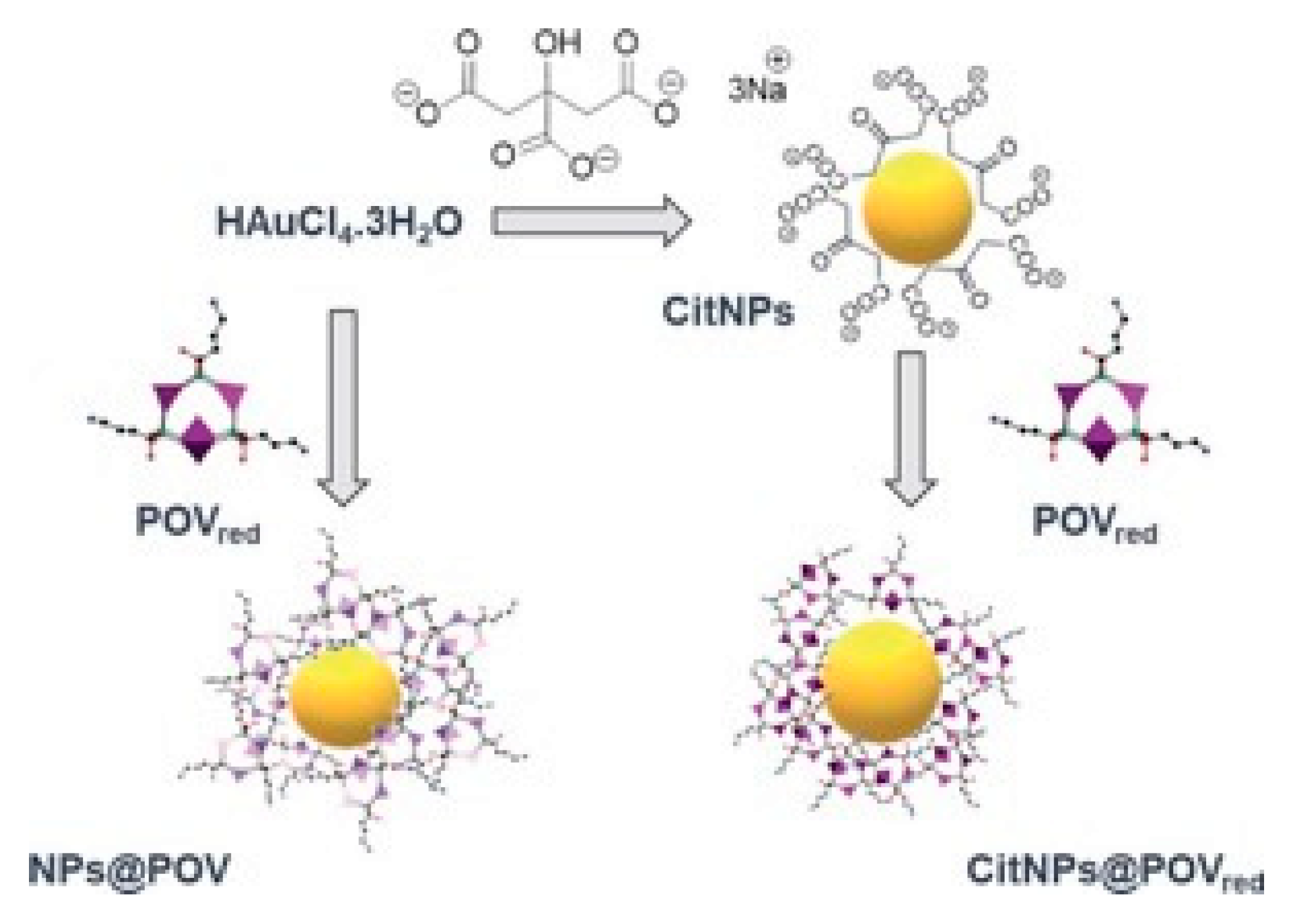Nanomaterials 10 00548 sch014 Nanomaterials 10 00548 sch014