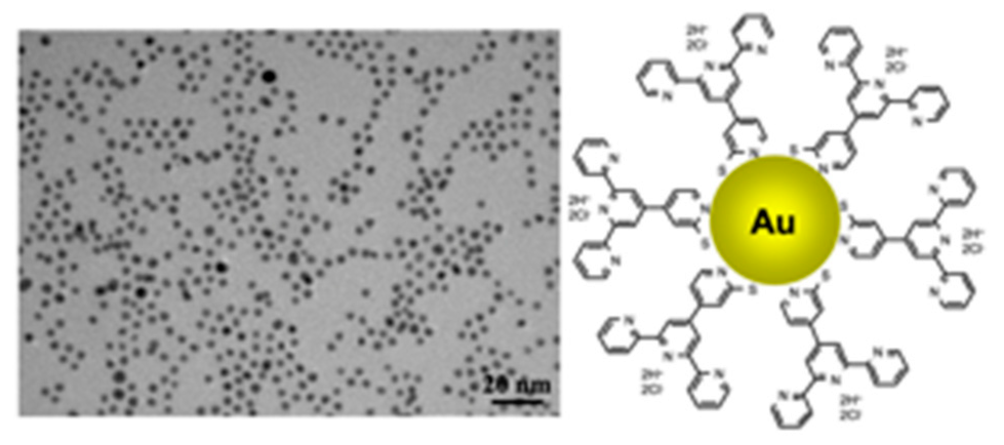 Nanomaterials 10 00548 sch020 Nanomaterials 10 00548 sch020