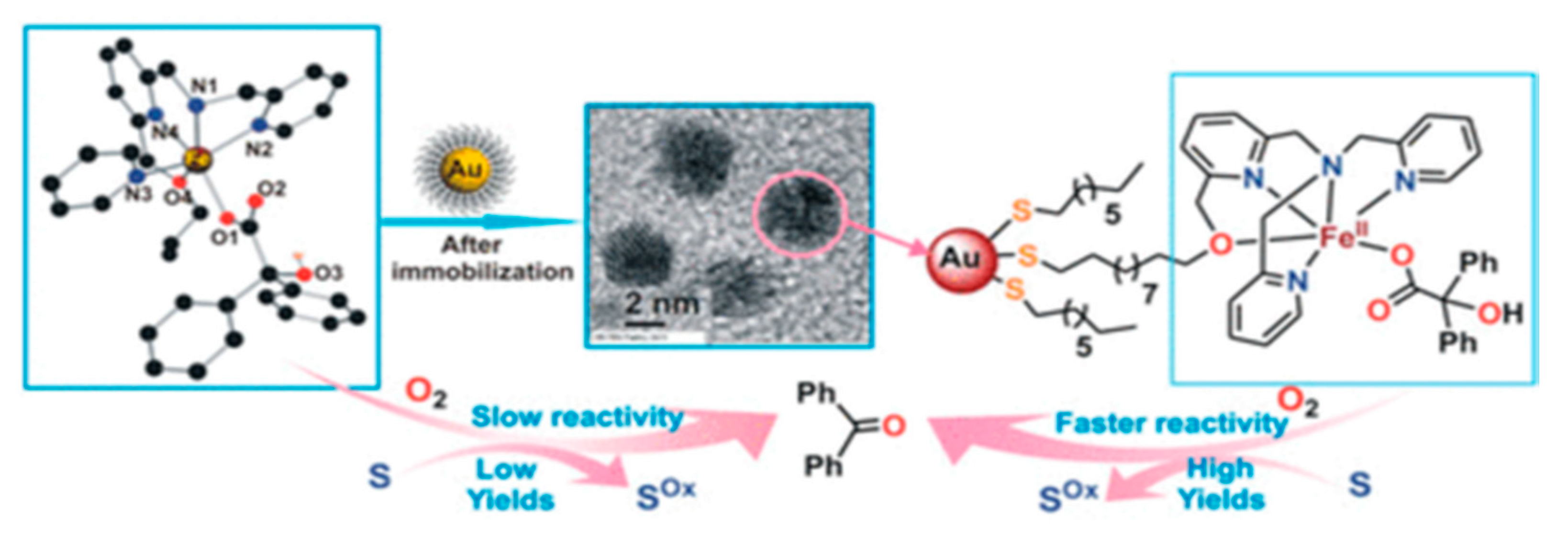 Nanomaterials 10 00548 sch026 Nanomaterials 10 00548 sch026