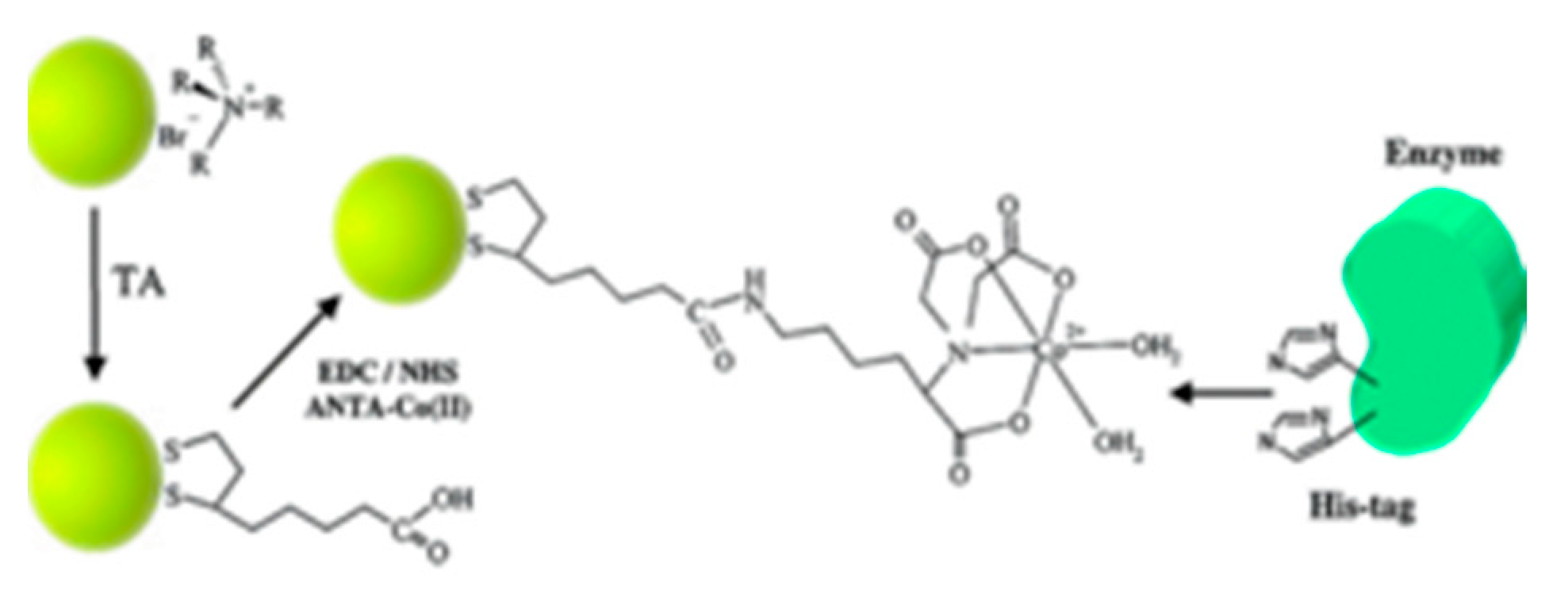 Nanomaterials 10 00548 sch028 Nanomaterials 10 00548 sch028