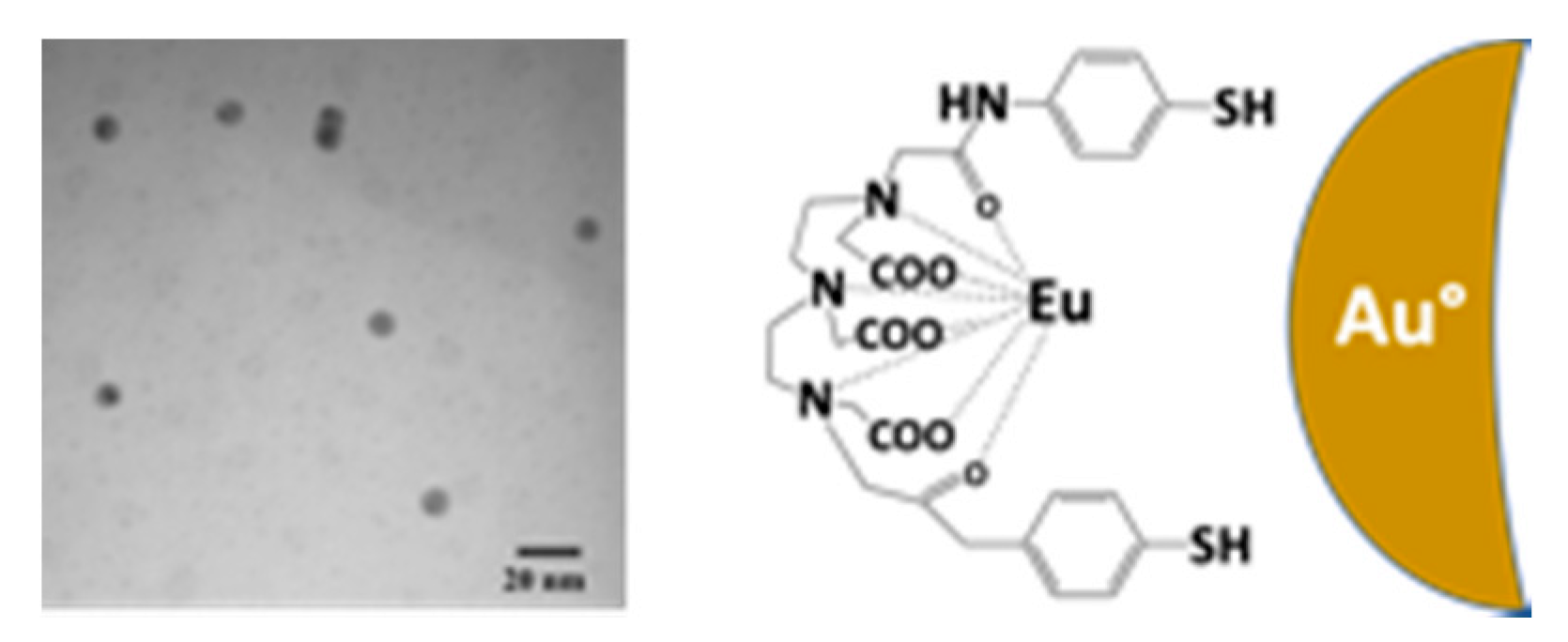 Nanomaterials 10 00548 sch032 Nanomaterials 10 00548 sch032