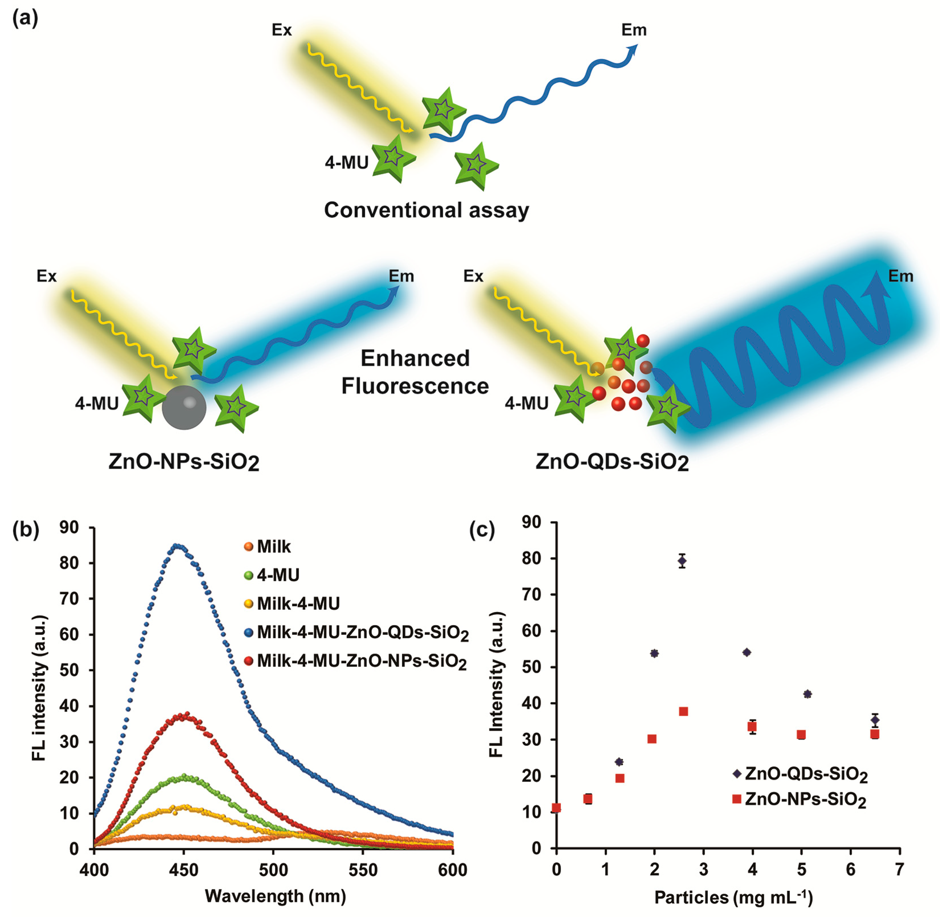 Nanomaterials 10 00549 g002
