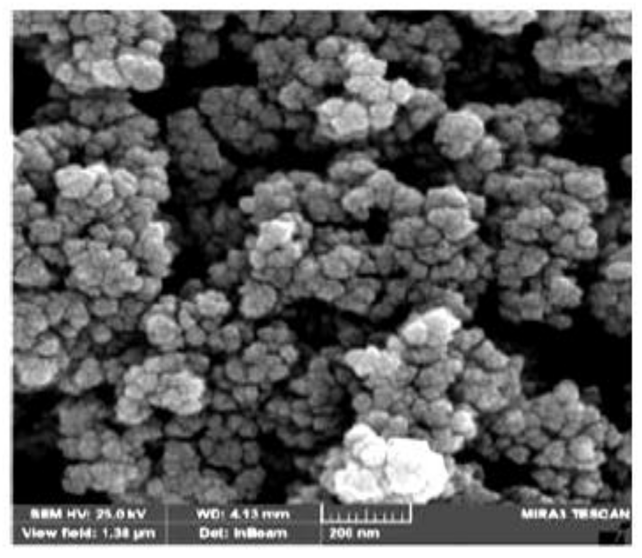 Nanomaterials 10 00556 g002 Nanomaterials 10 00556 g002
