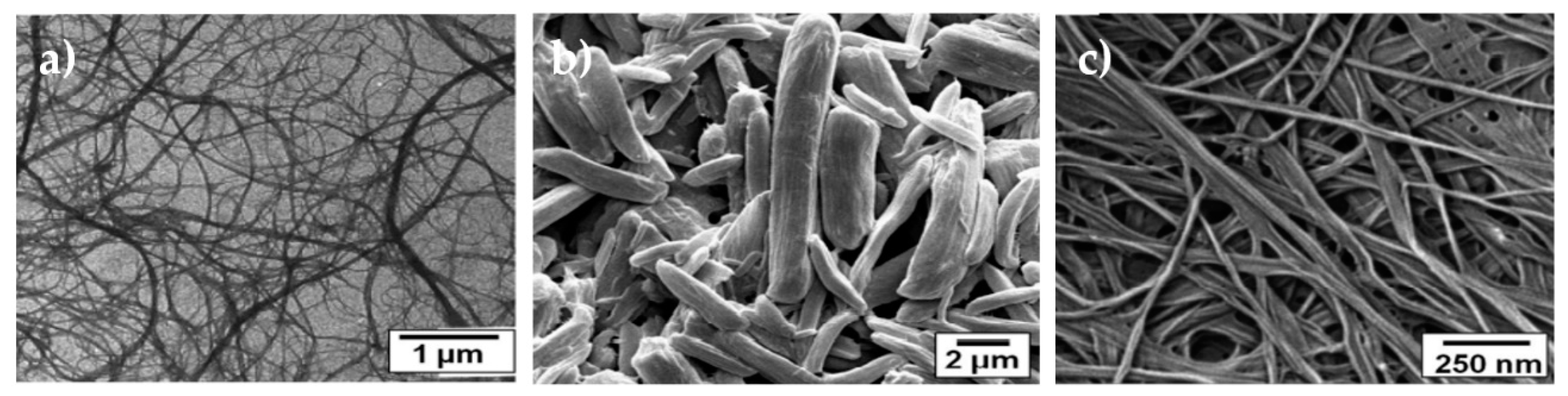 Nanomaterials 10 00557 g002 Nanomaterials 10 00557 g002