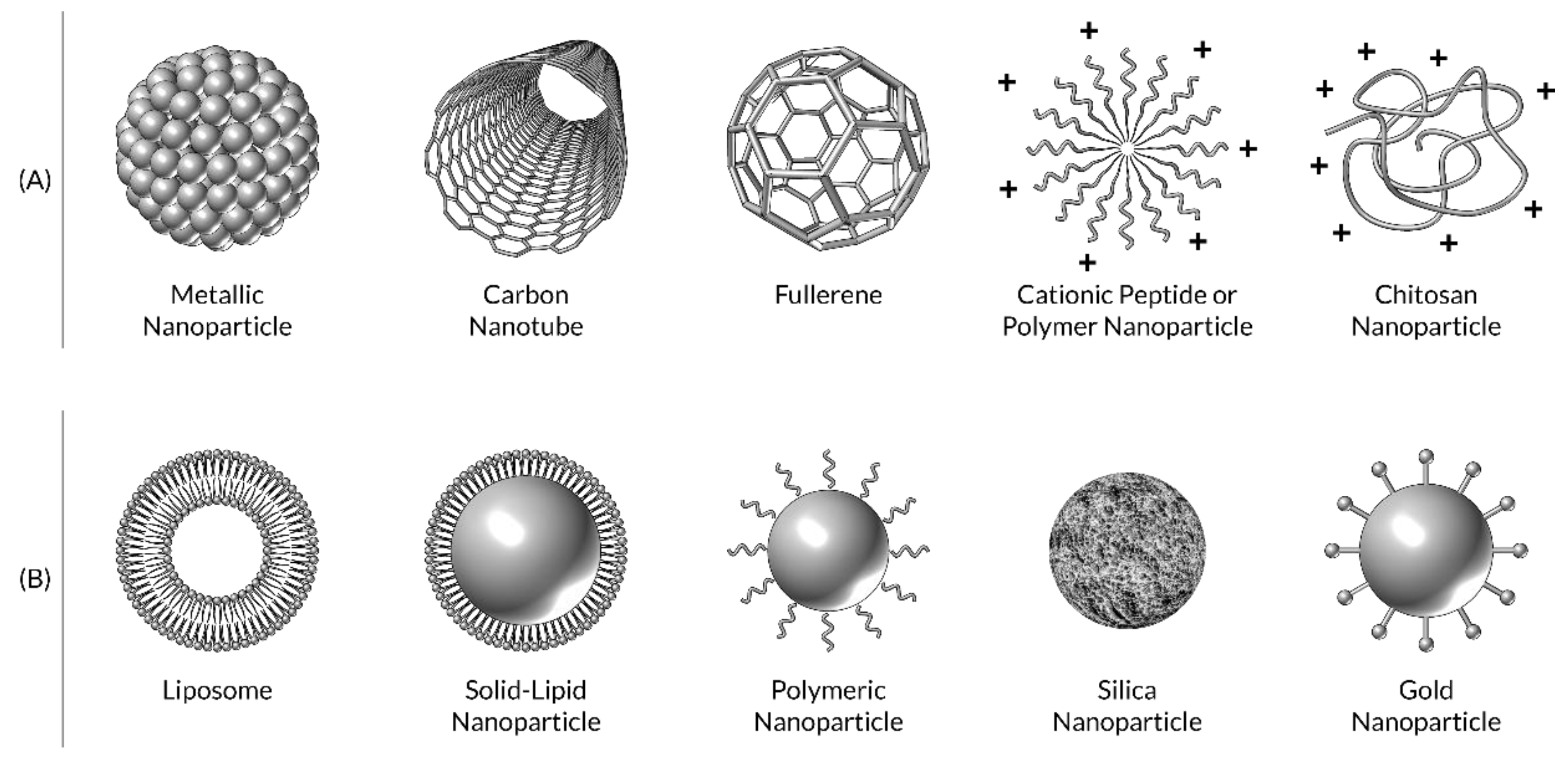 Nanomaterials 10 00560 g003
