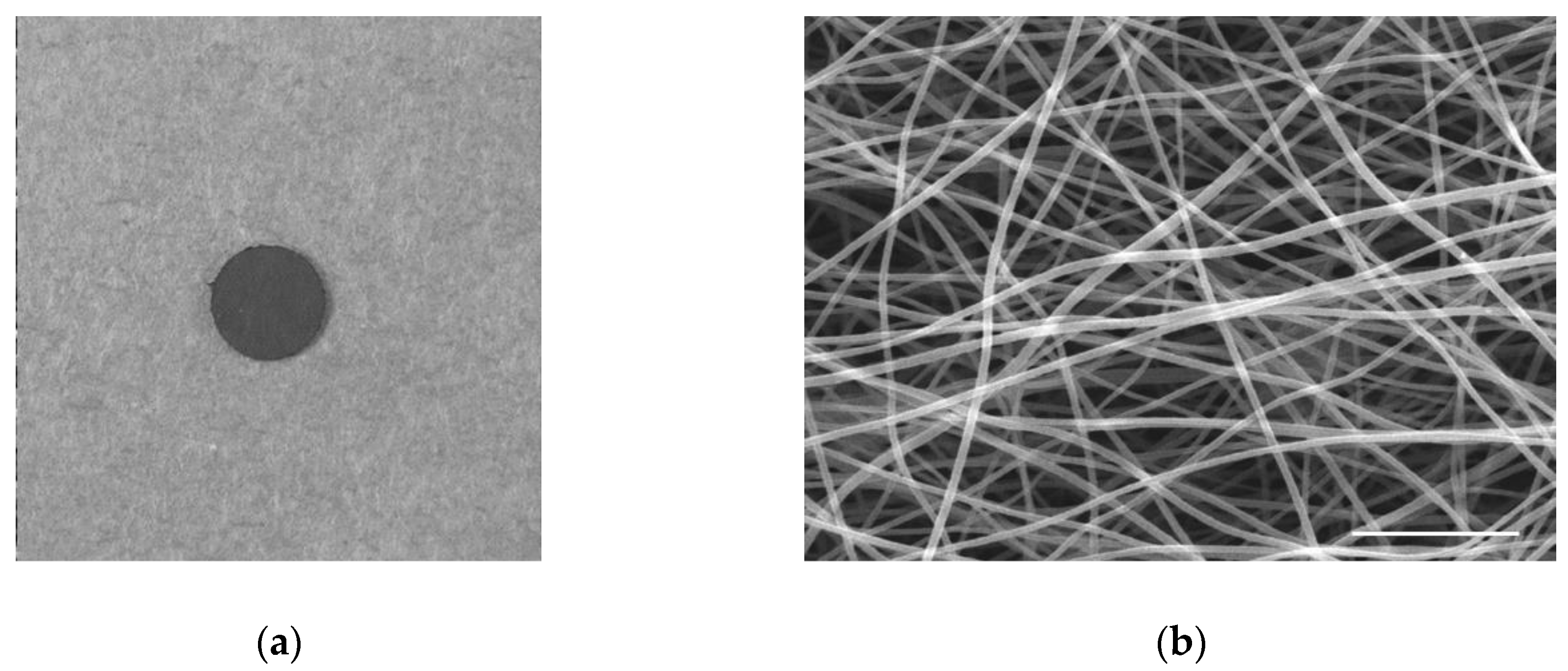 Nanomaterials 10 00562 g002 Nanomaterials 10 00562 g002
