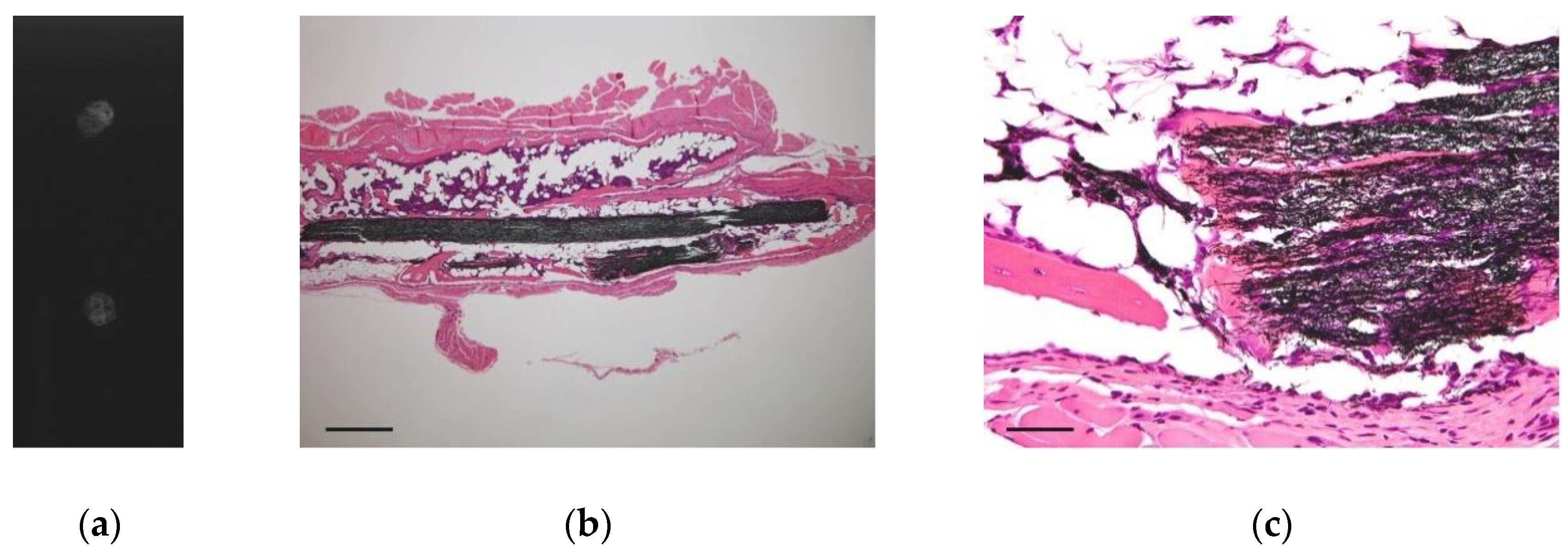 Nanomaterials 10 00562 g004 Nanomaterials 10 00562 g004