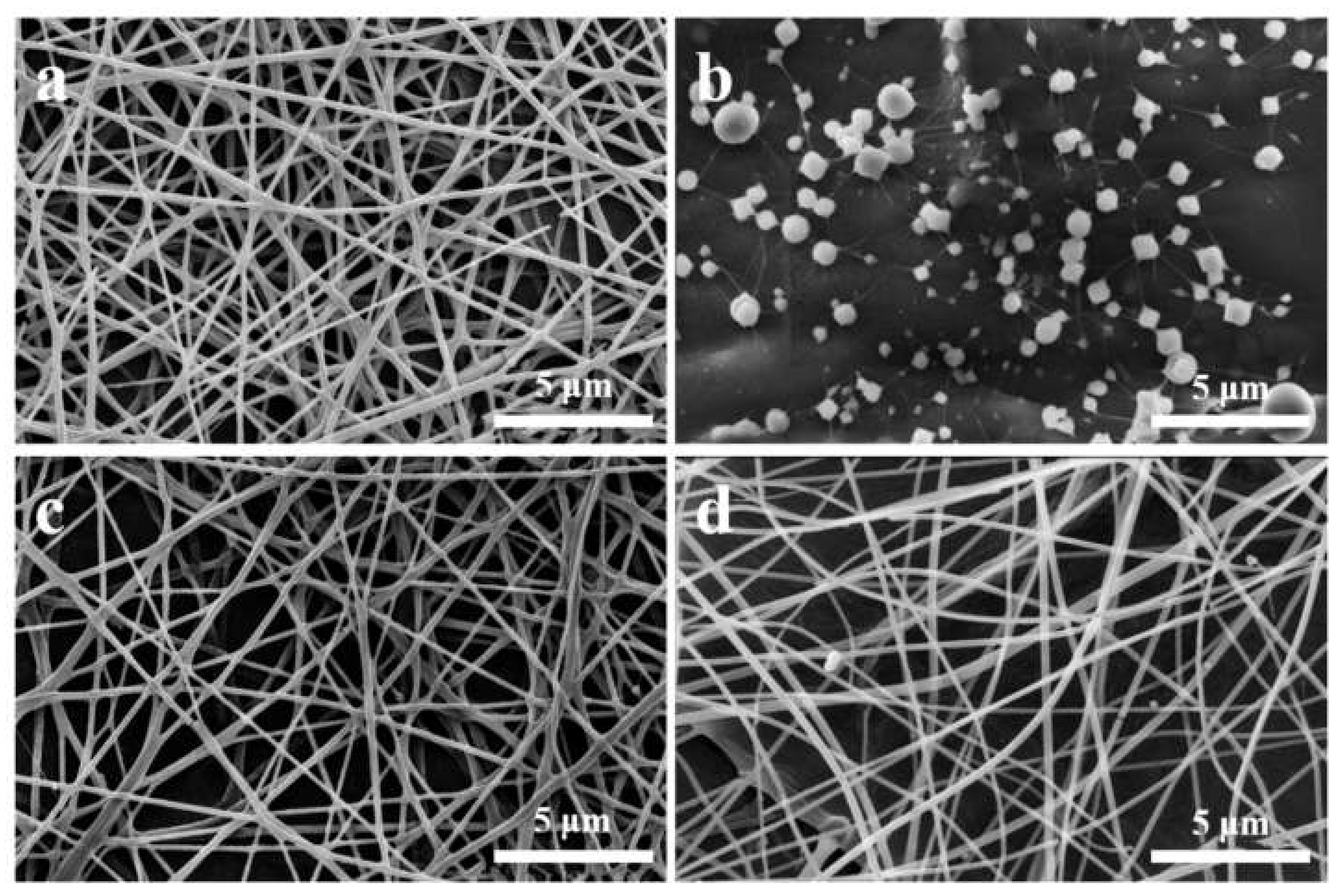 Nanomaterials 10 00565 g001
