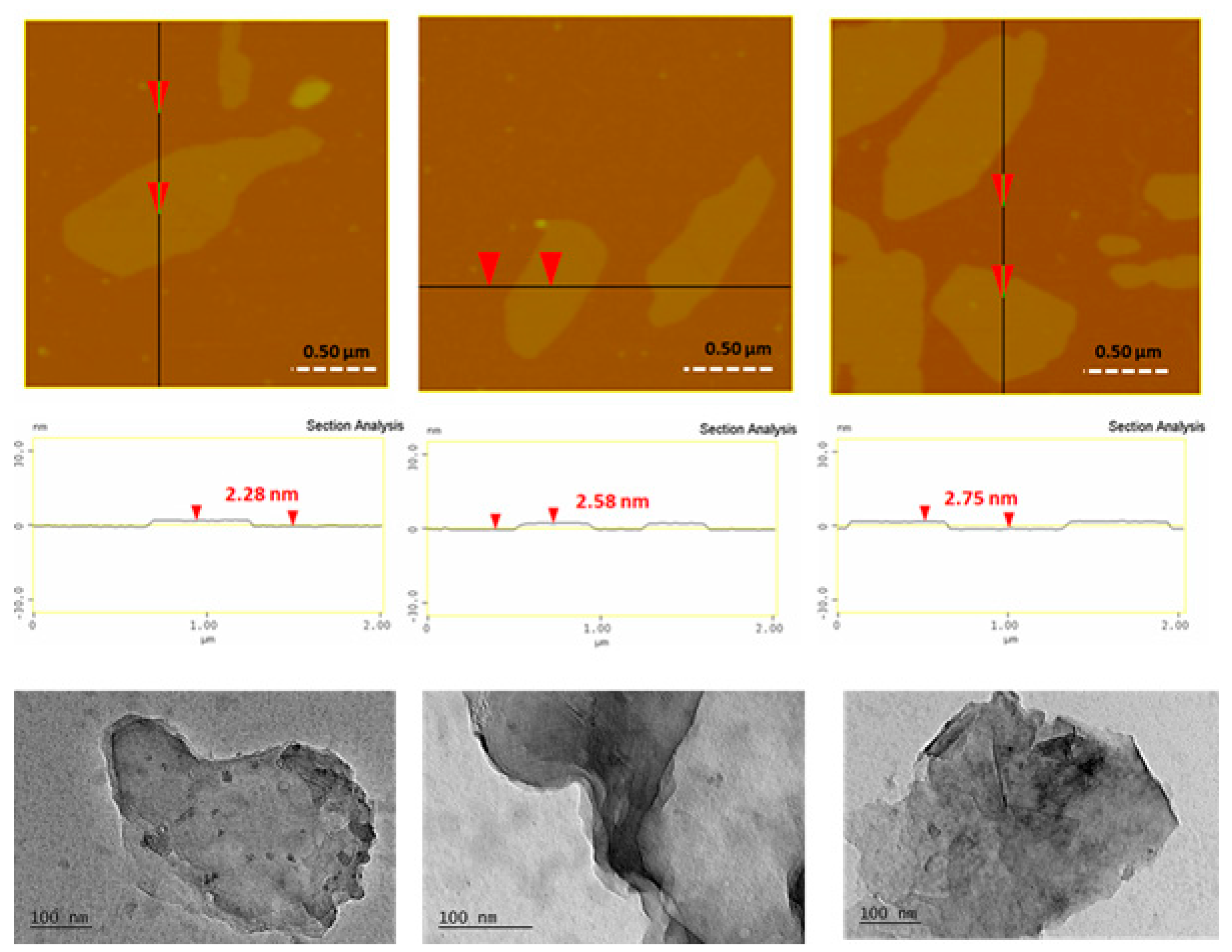 Nanomaterials 10 00566 g004