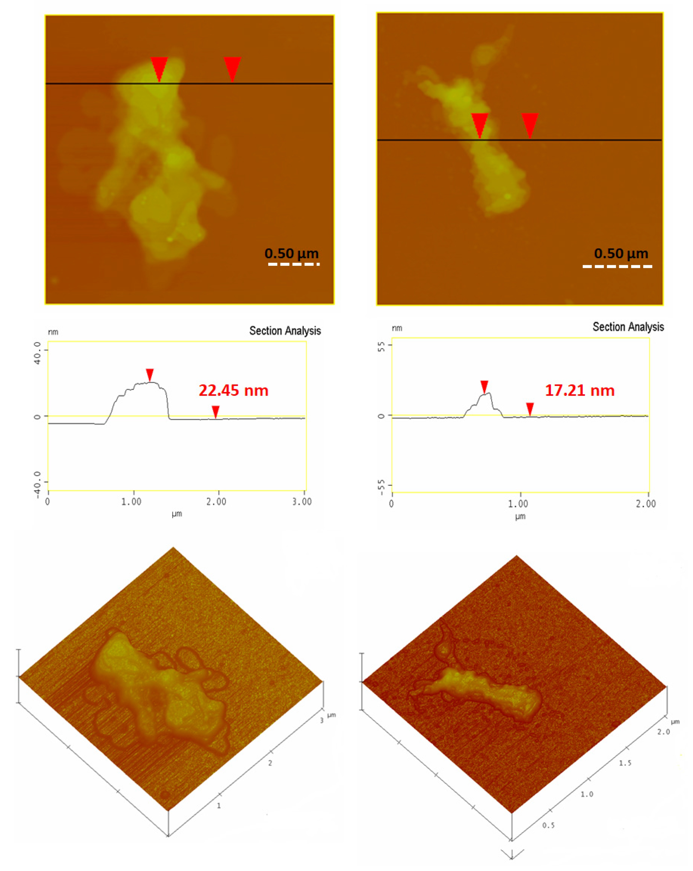 Nanomaterials 10 00566 g009