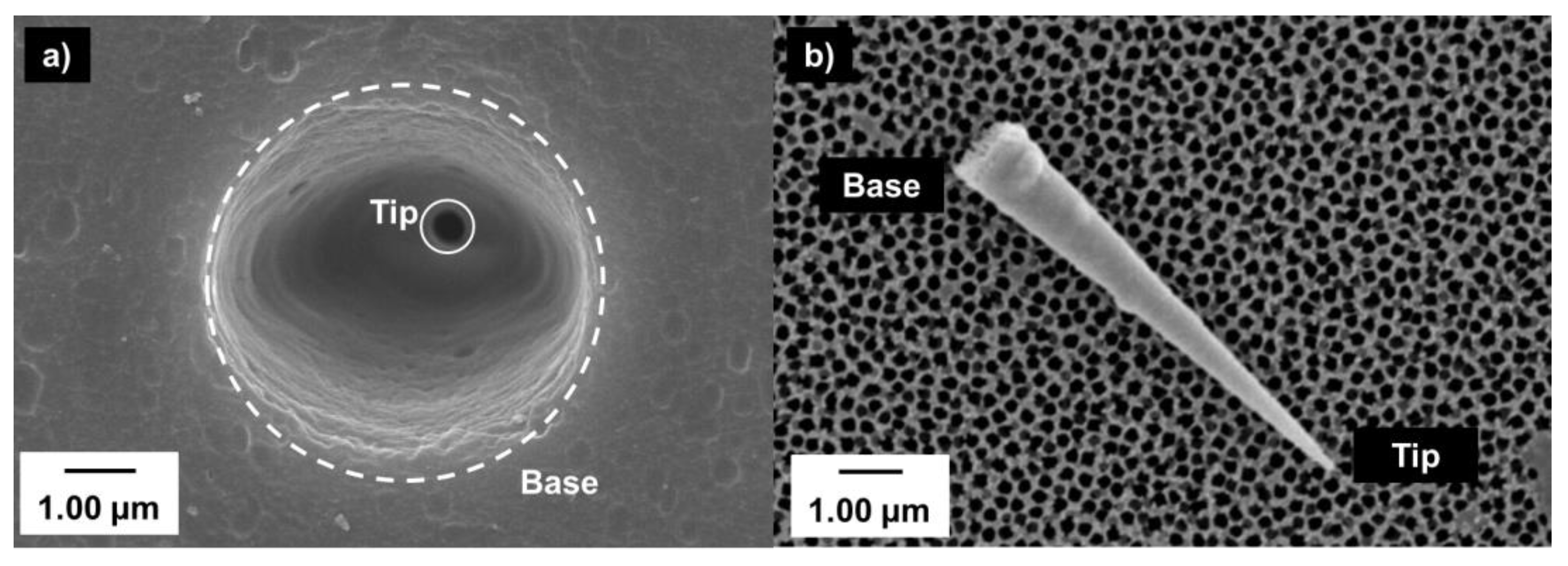 Nanomaterials 10 00571 g002 Nanomaterials 10 00571 g002