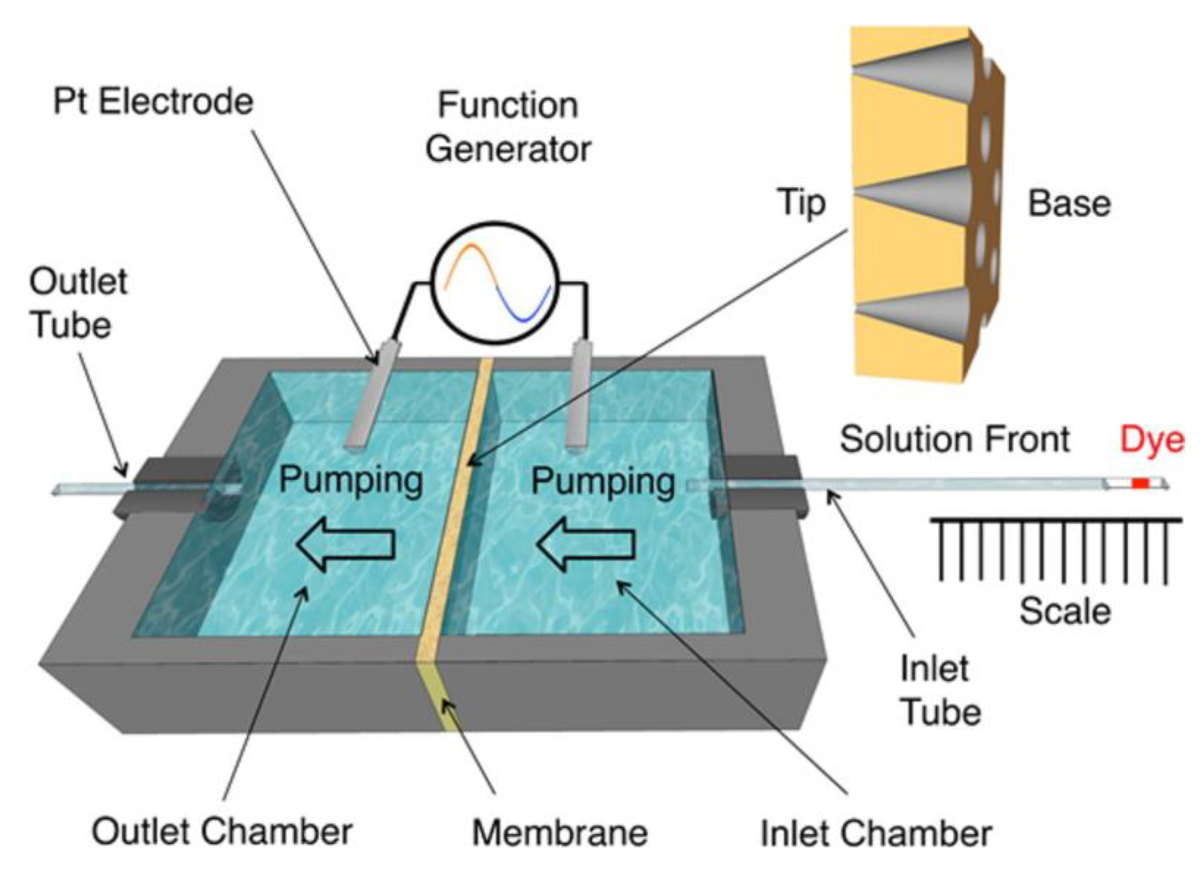 Nanomaterials 10 00571 g007 Nanomaterials 10 00571 g007