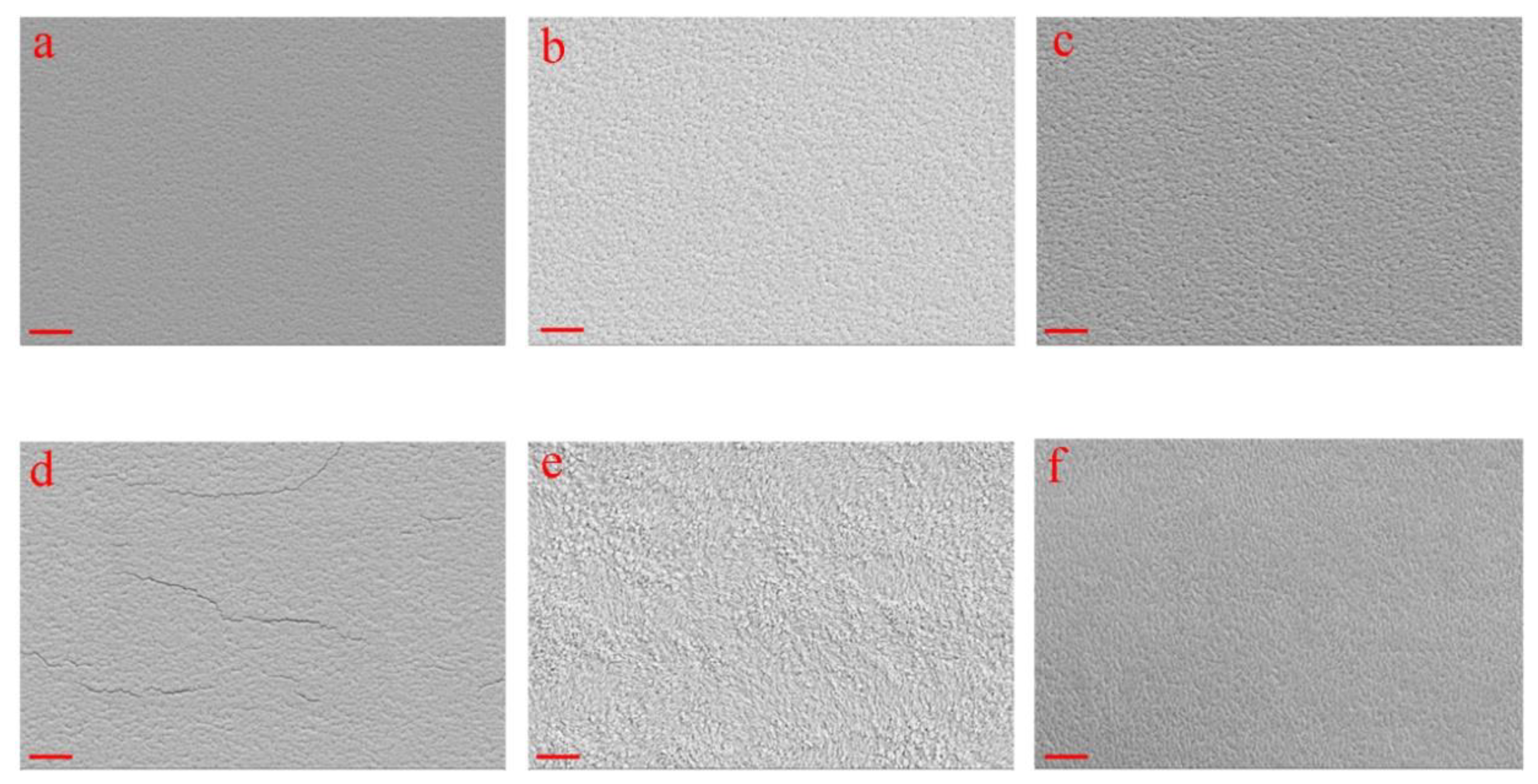 Nanomaterials 10 00574 g001