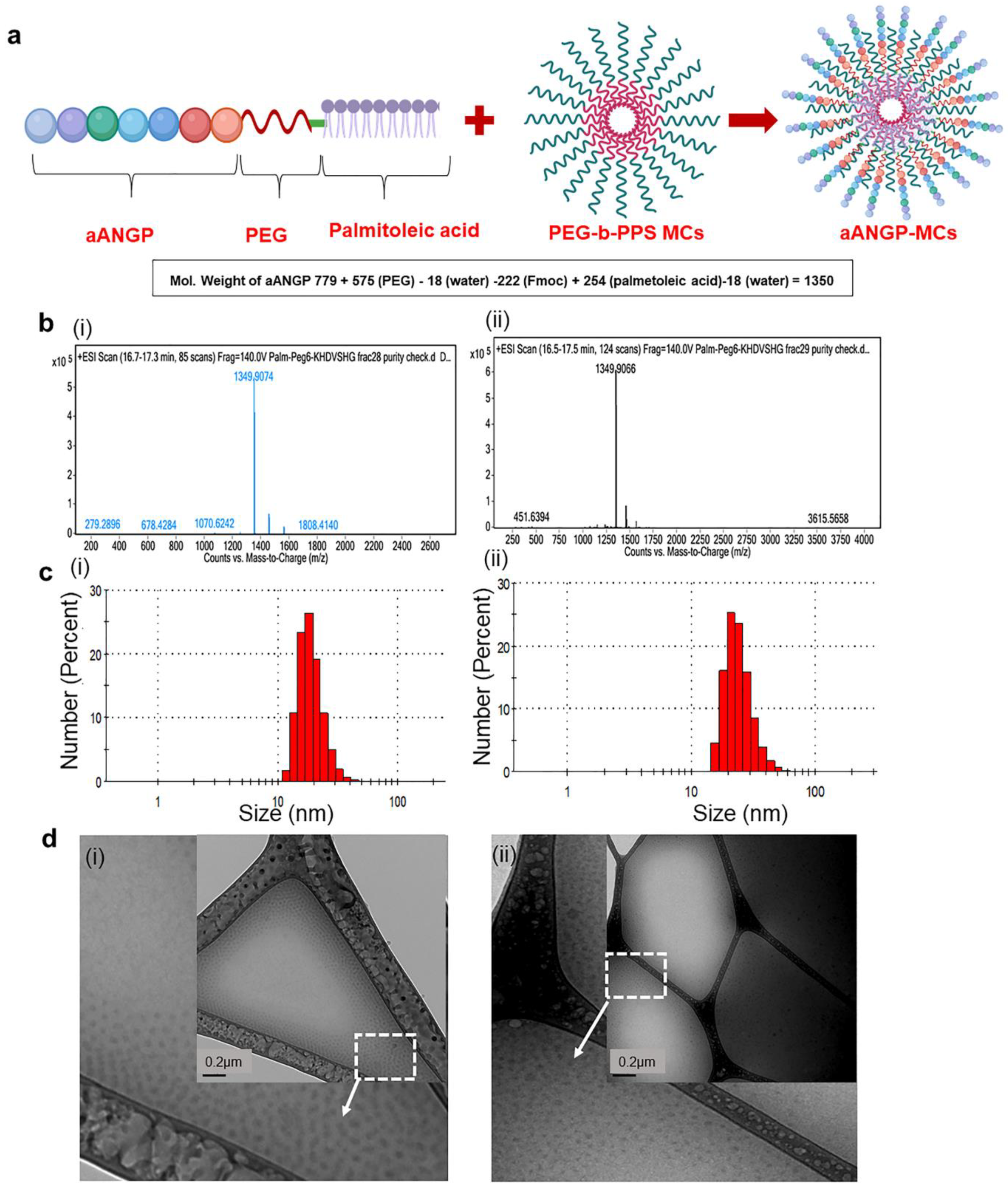 Nanomaterials 10 00581 g001
