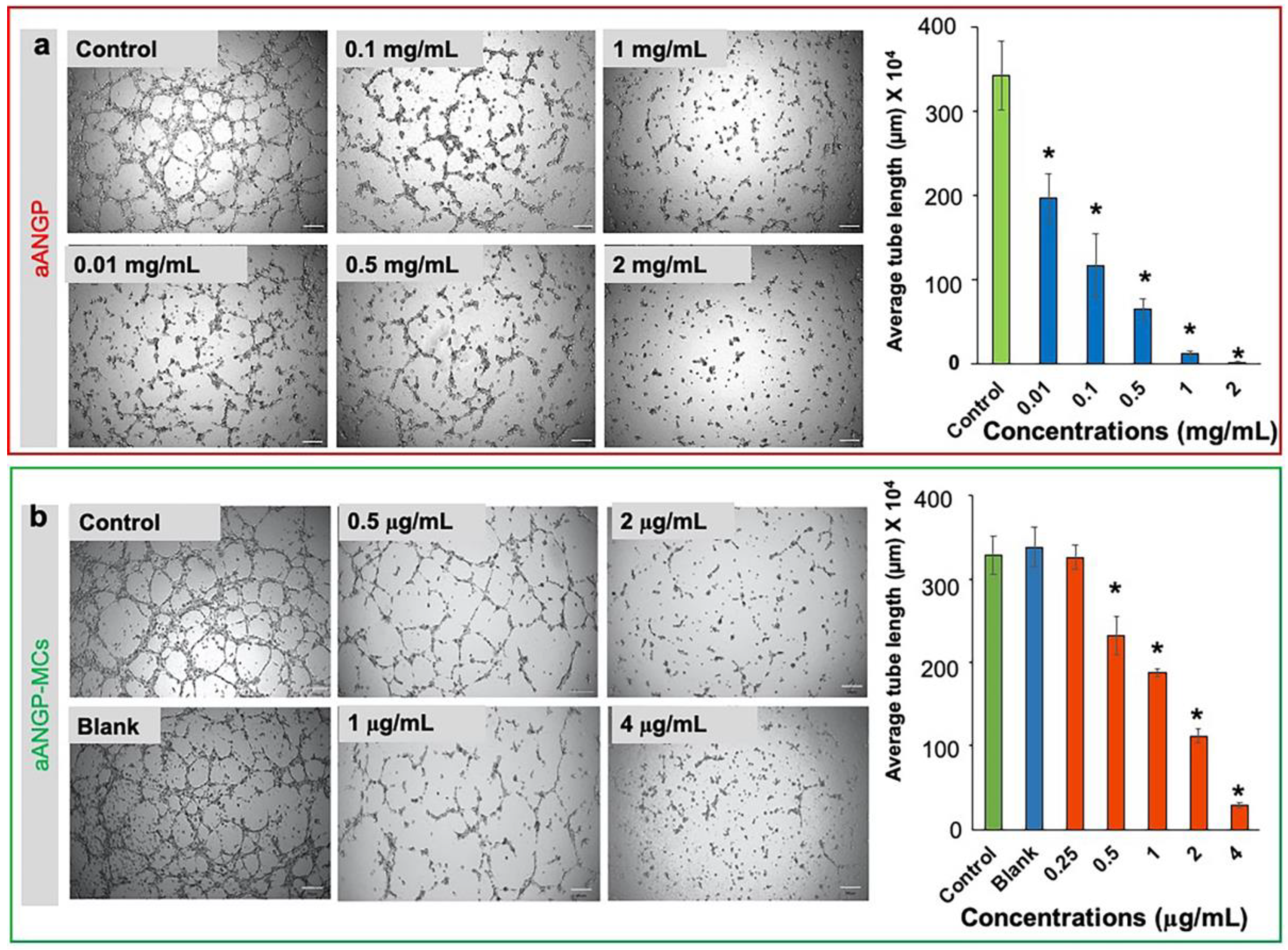 Nanomaterials 10 00581 g006