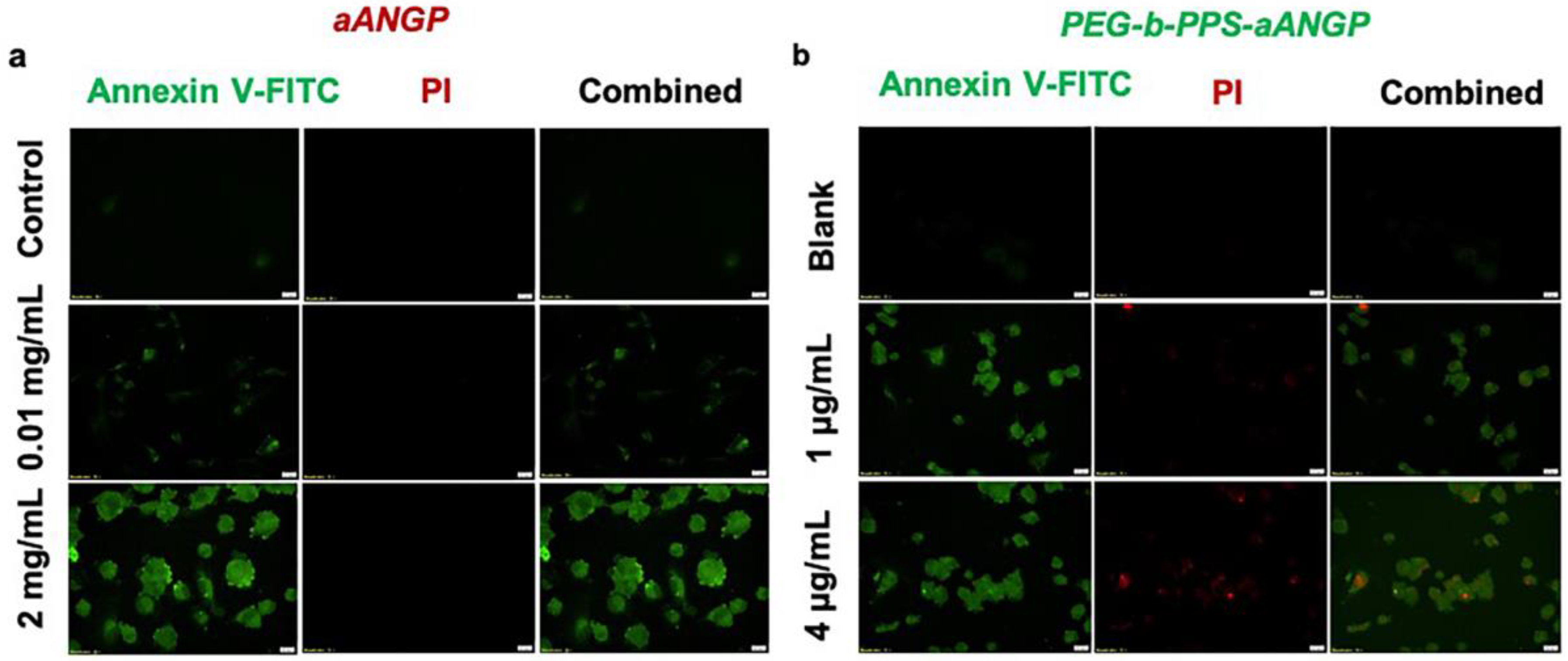 Nanomaterials 10 00581 g008