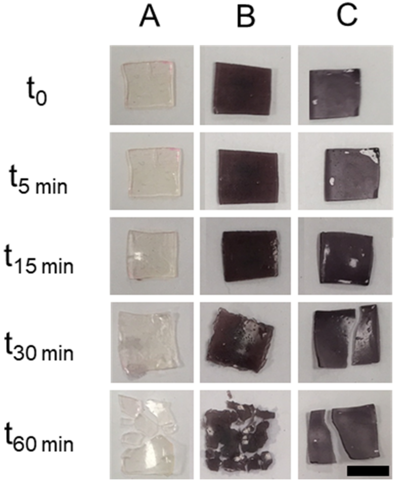 Nanomaterials 10 00582 g007 Nanomaterials 10 00582 g007