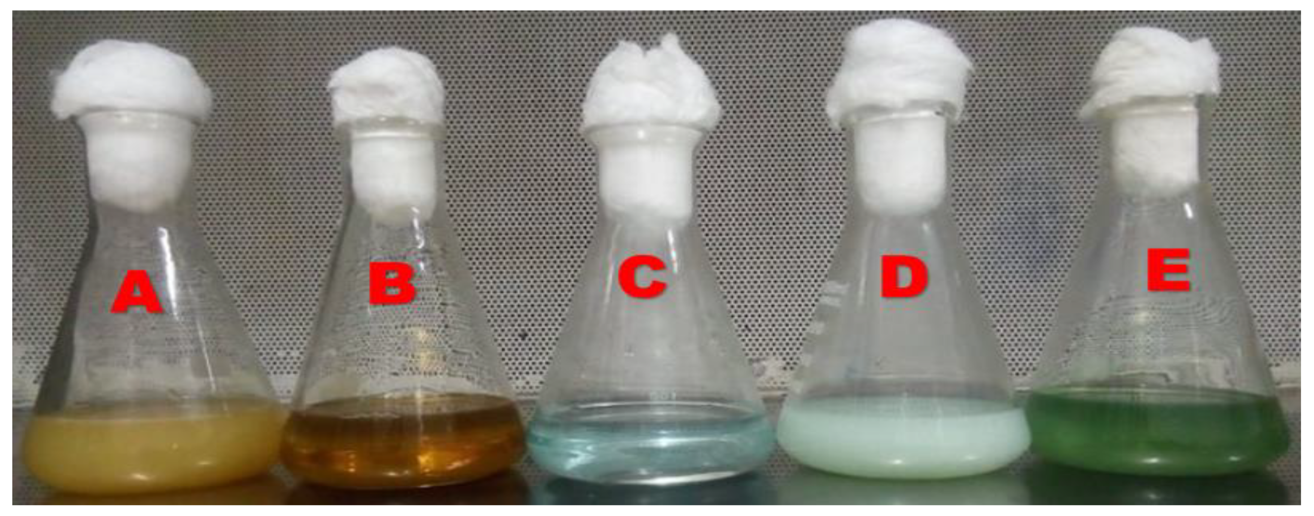 Nanomaterials 10 00587 g001 Nanomaterials 10 00587 g001