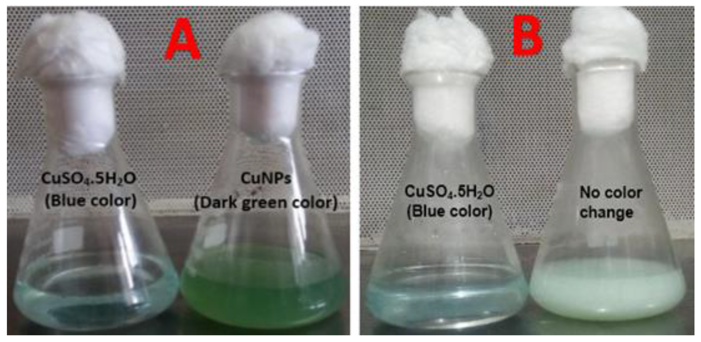 Nanomaterials 10 00587 g005 Nanomaterials 10 00587 g005