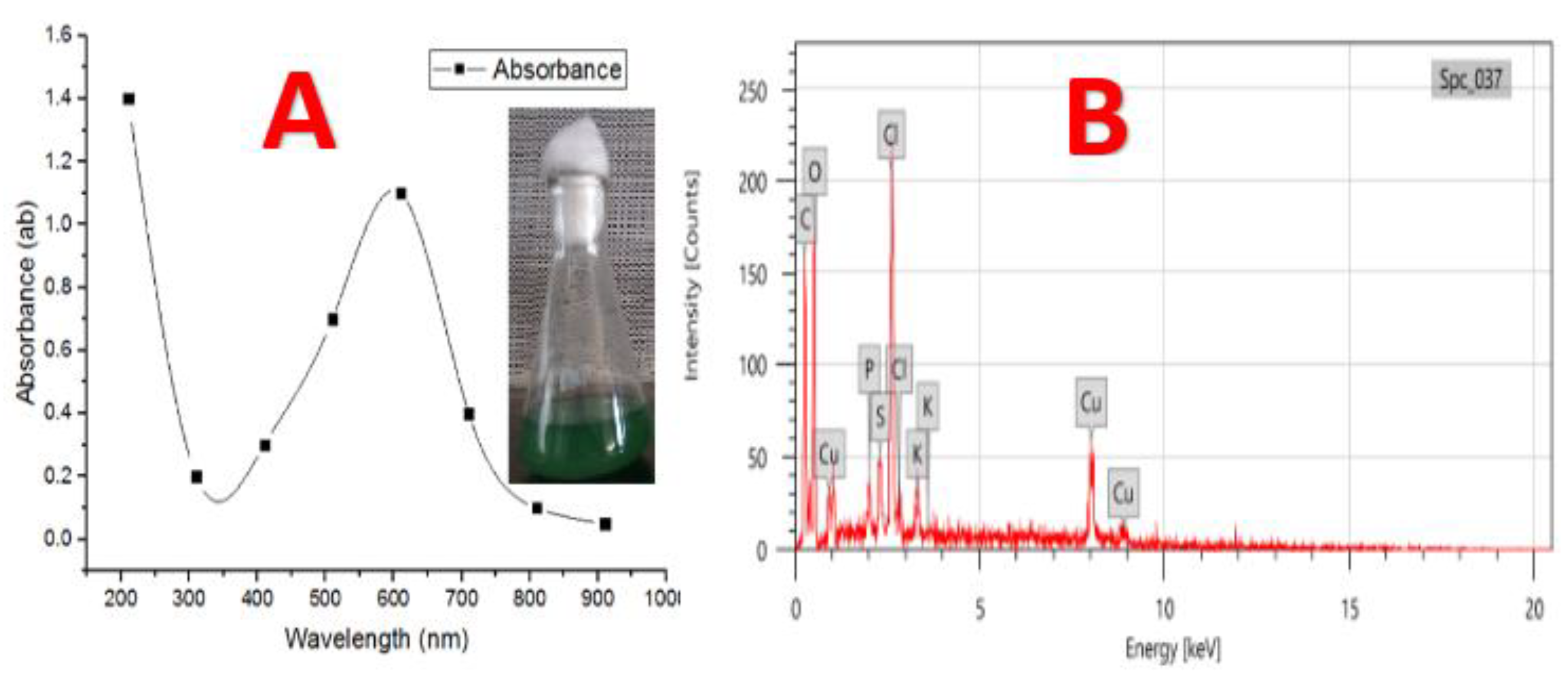 Nanomaterials 10 00587 g006 Nanomaterials 10 00587 g006