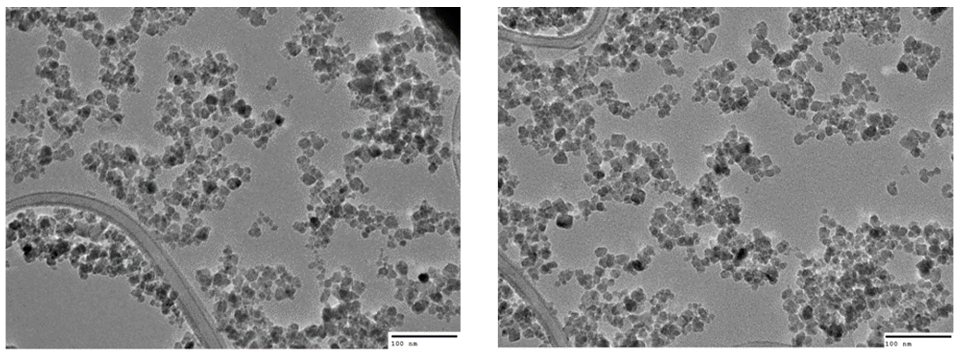 Nanomaterials 10 00593 g002 Nanomaterials 10 00593 g002