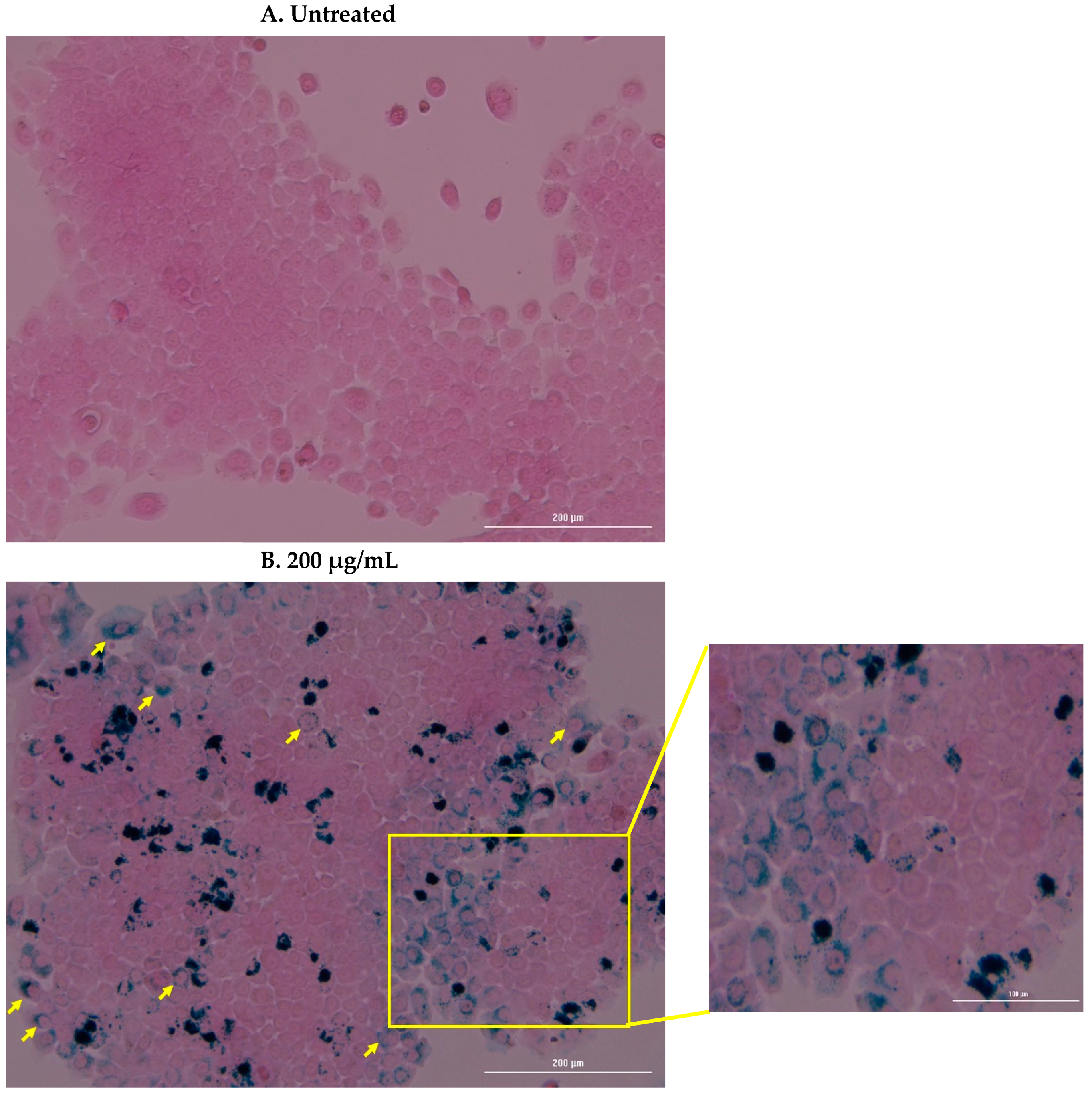 Nanomaterials 10 00593 g005 Nanomaterials 10 00593 g005