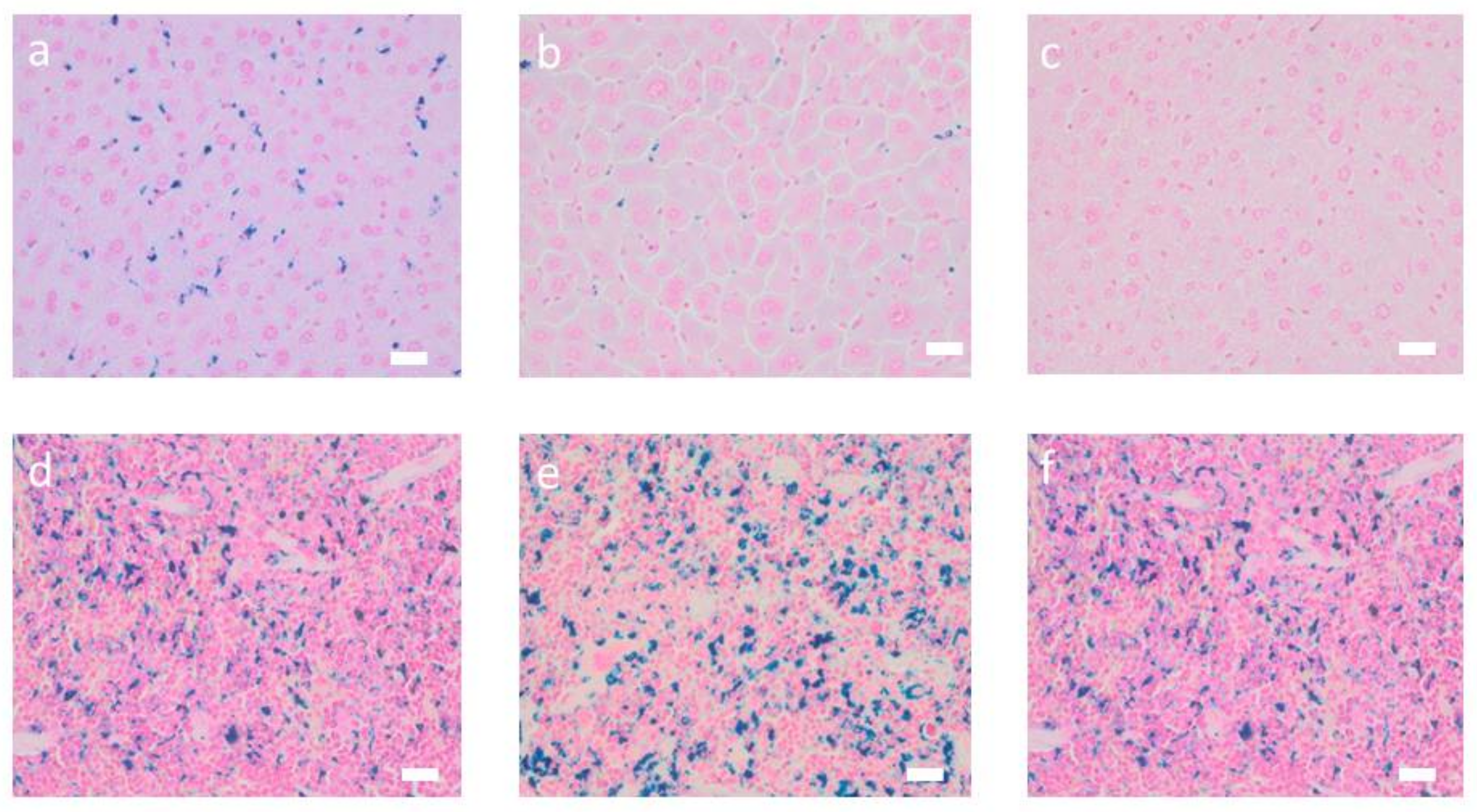 Nanomaterials 10 00596 g003