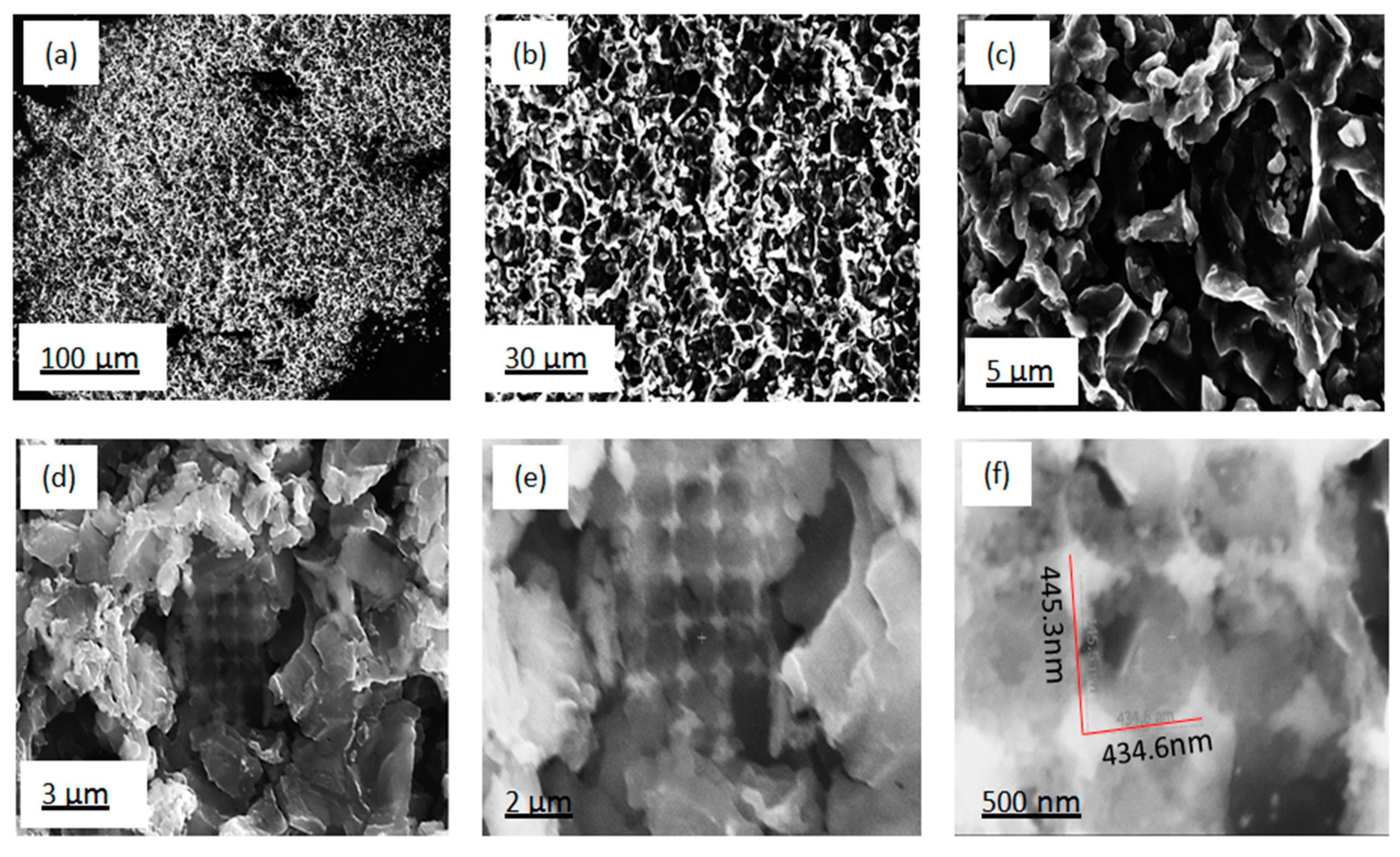 Nanomaterials 10 00601 g006